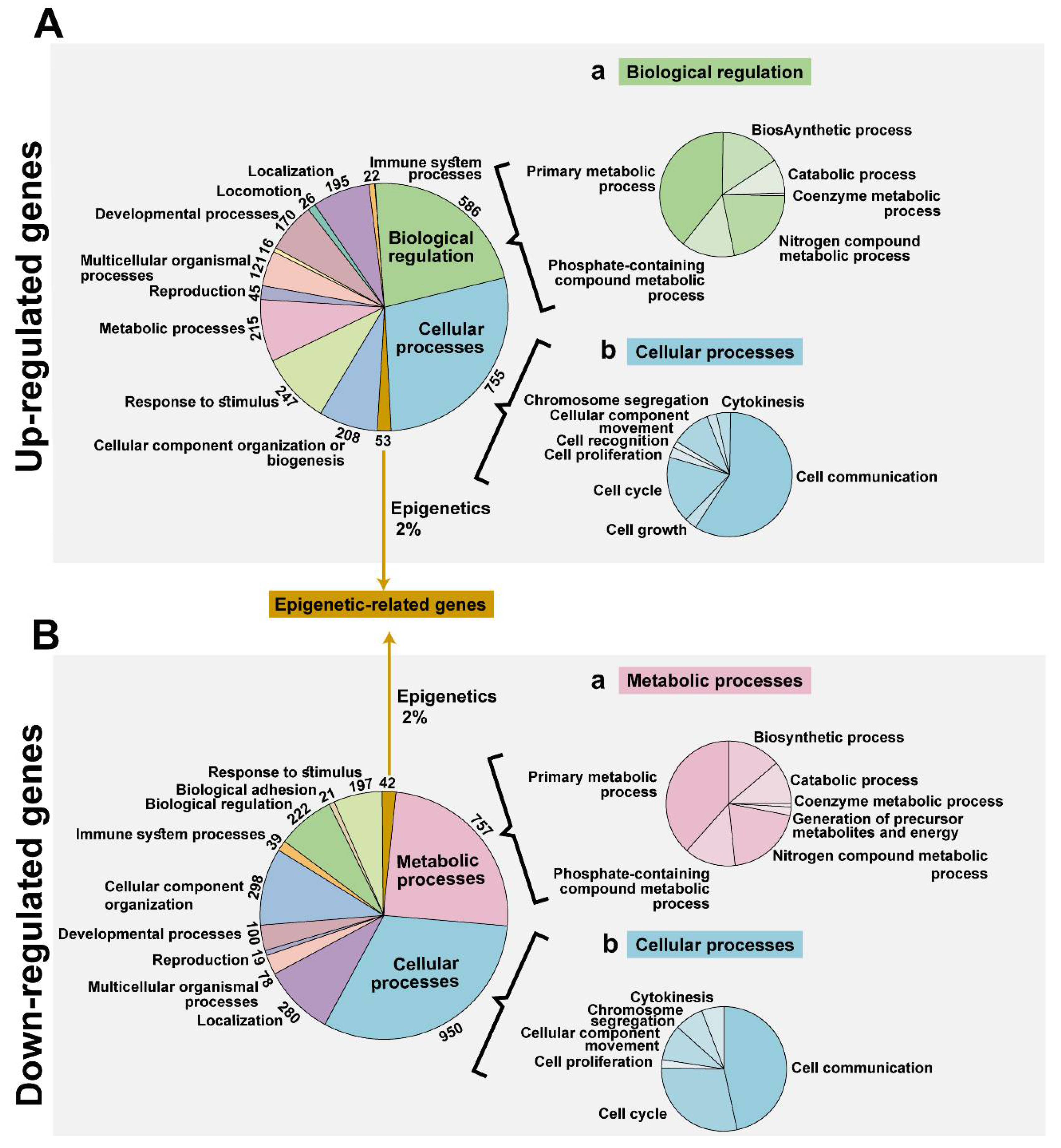 Cancers 12 01031 g002