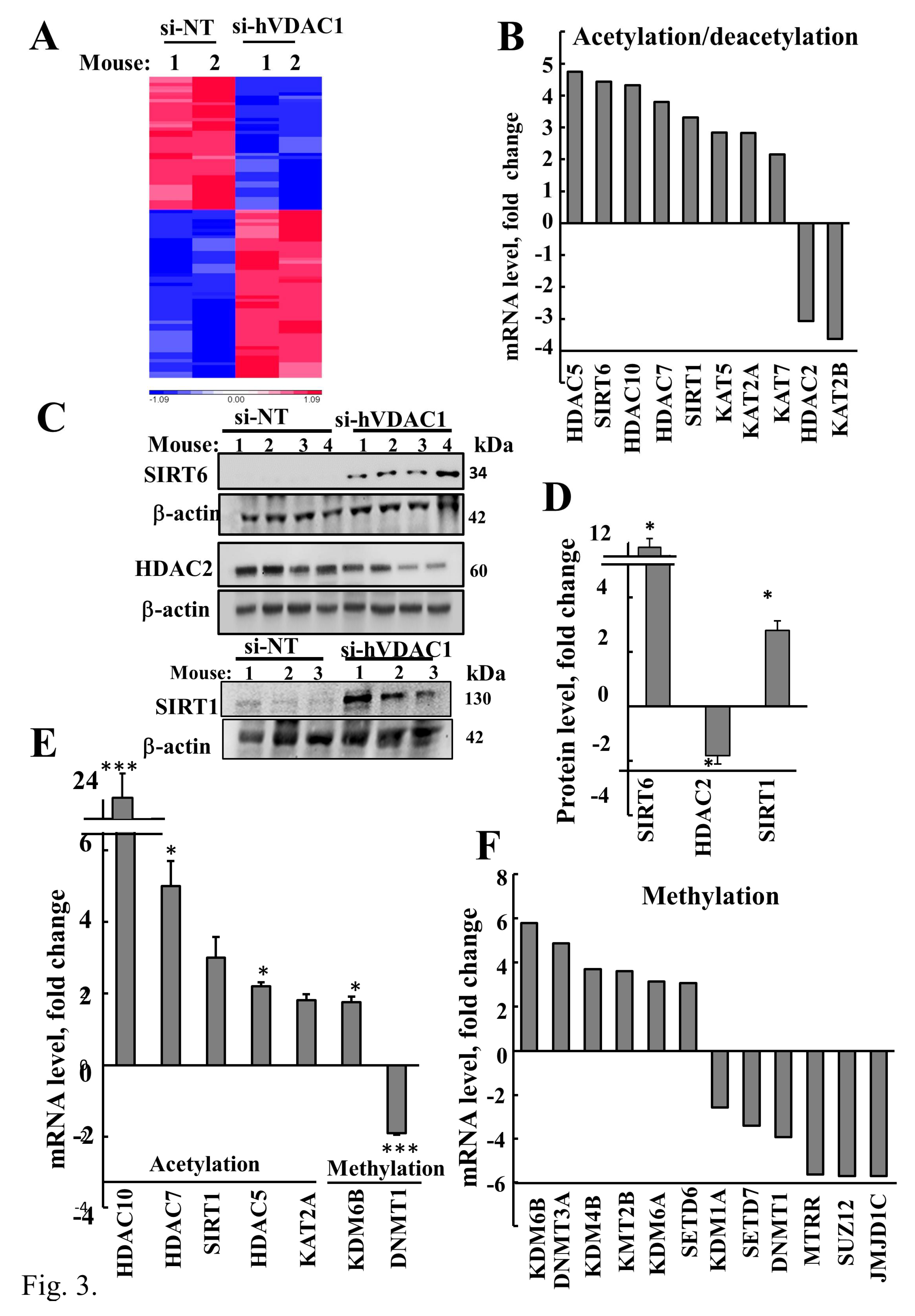 Cancers 12 01031 g003