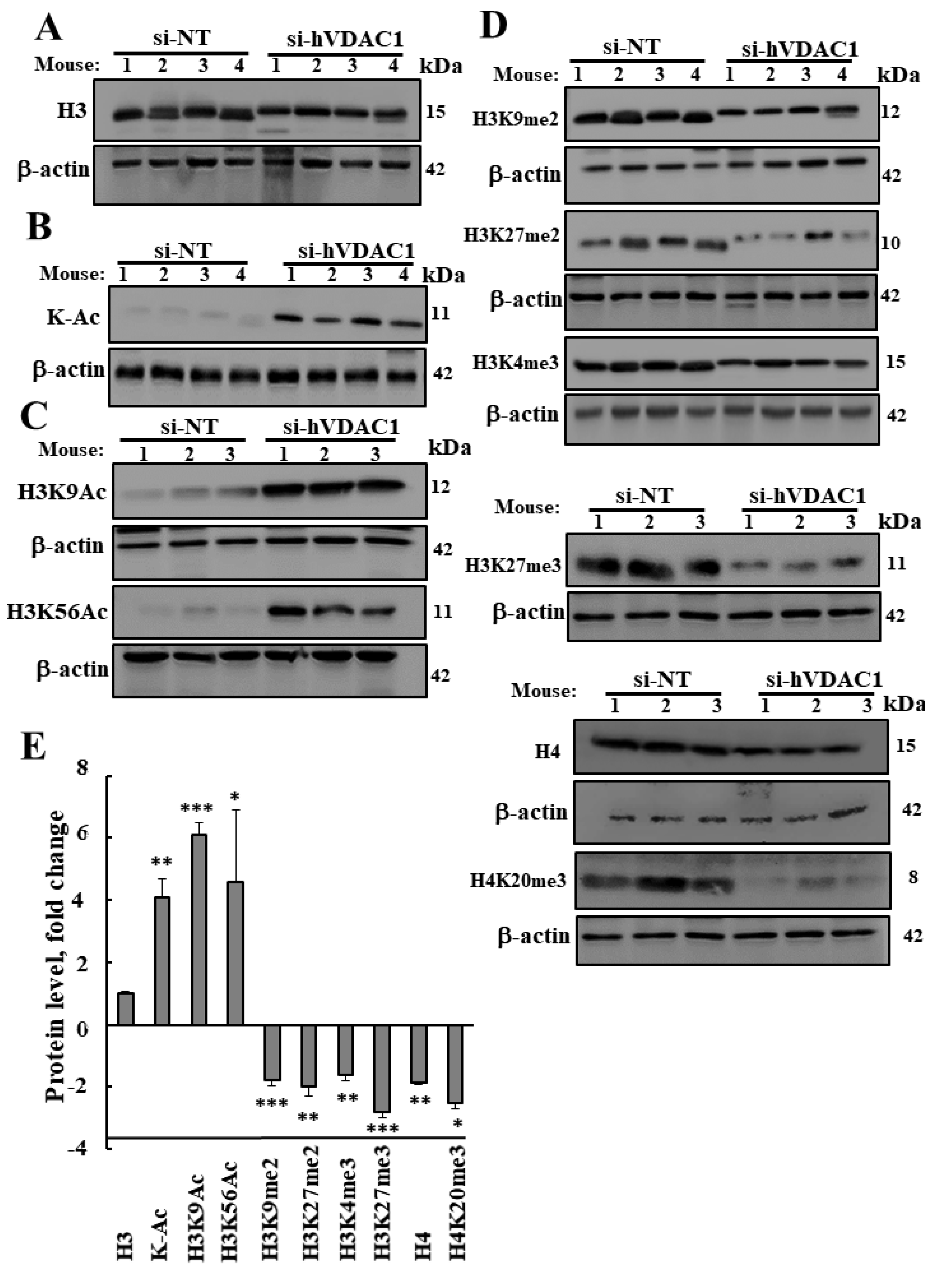 Cancers 12 01031 g004