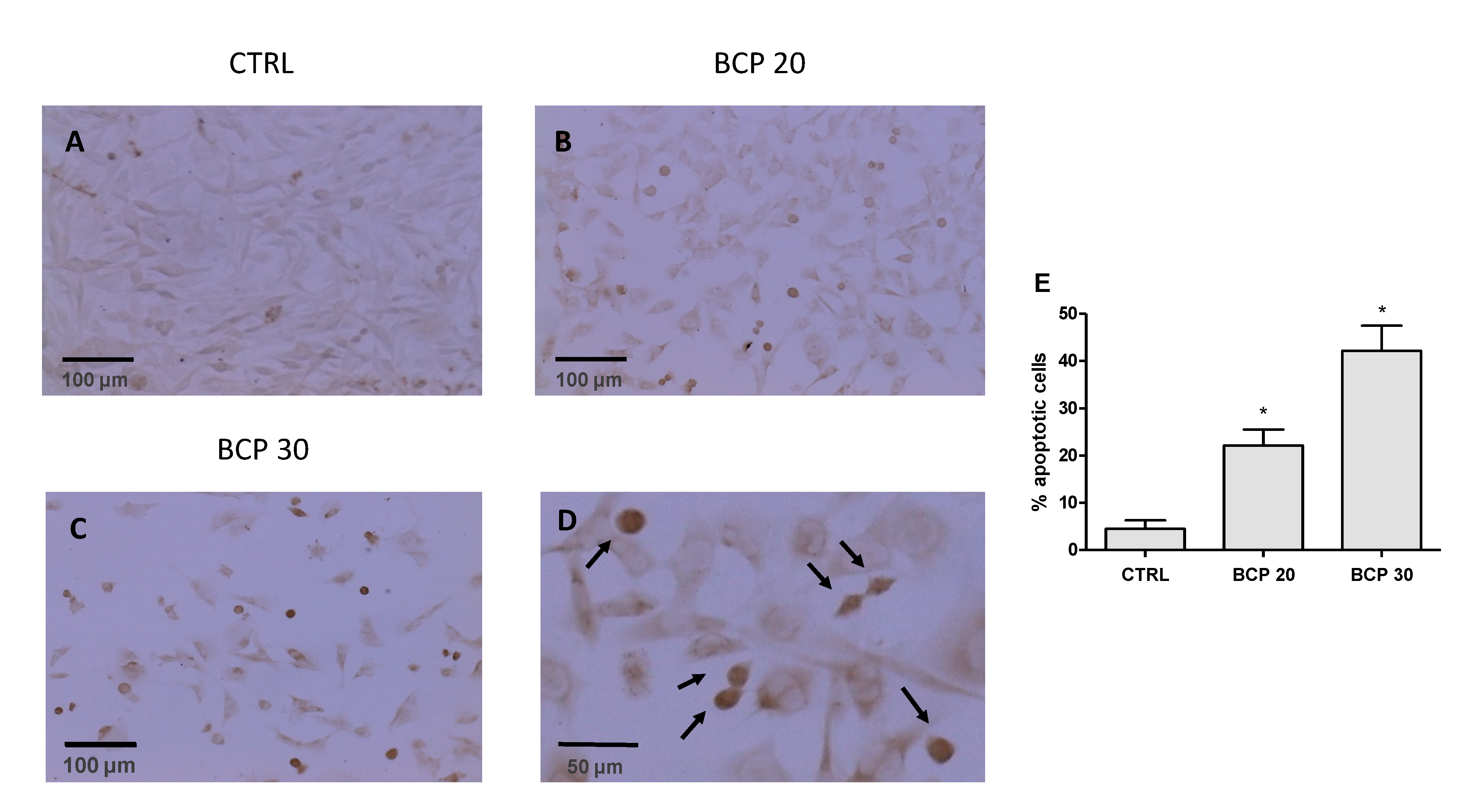 Cancers 12 01038 g002