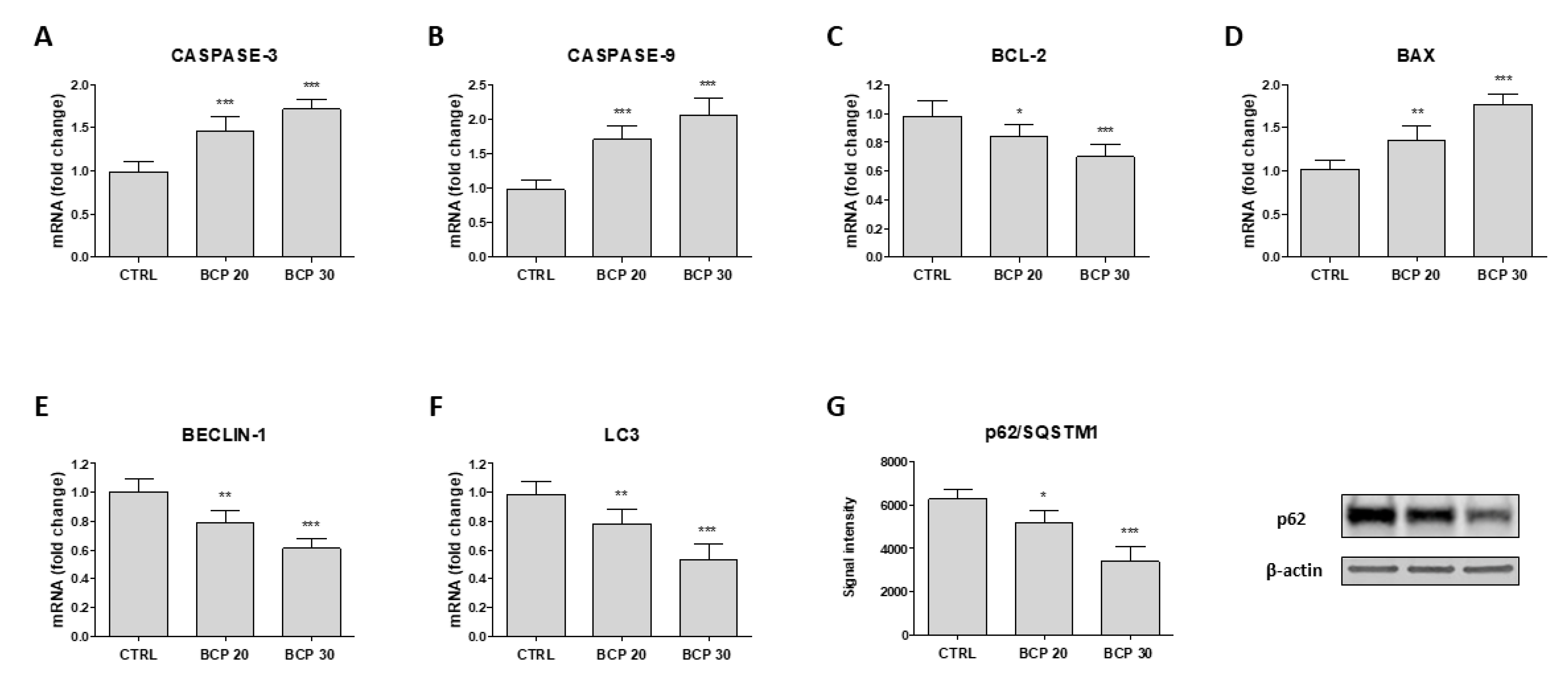Cancers 12 01038 g003