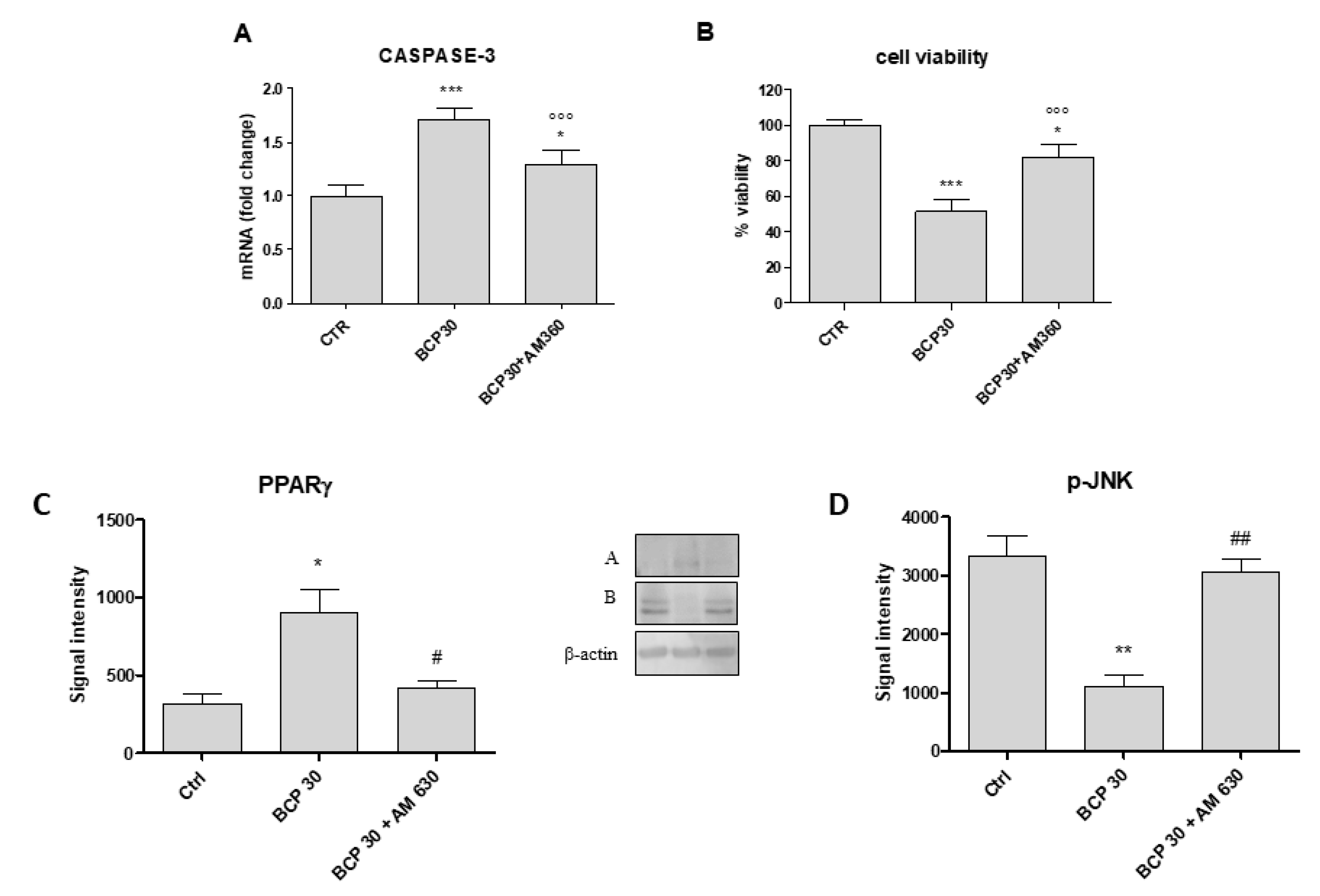 Cancers 12 01038 g005
