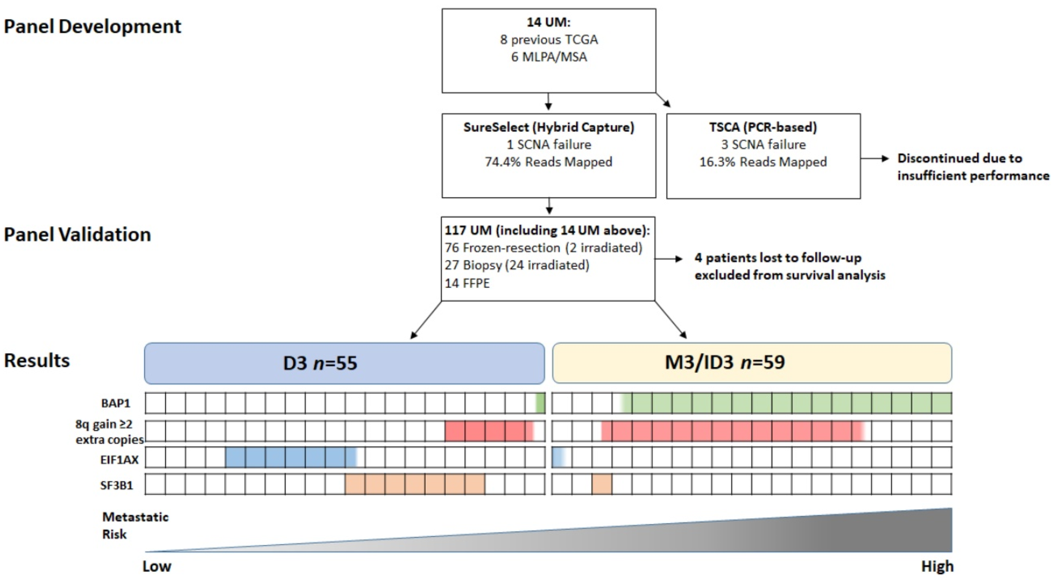 Cancers 12 01039 g001