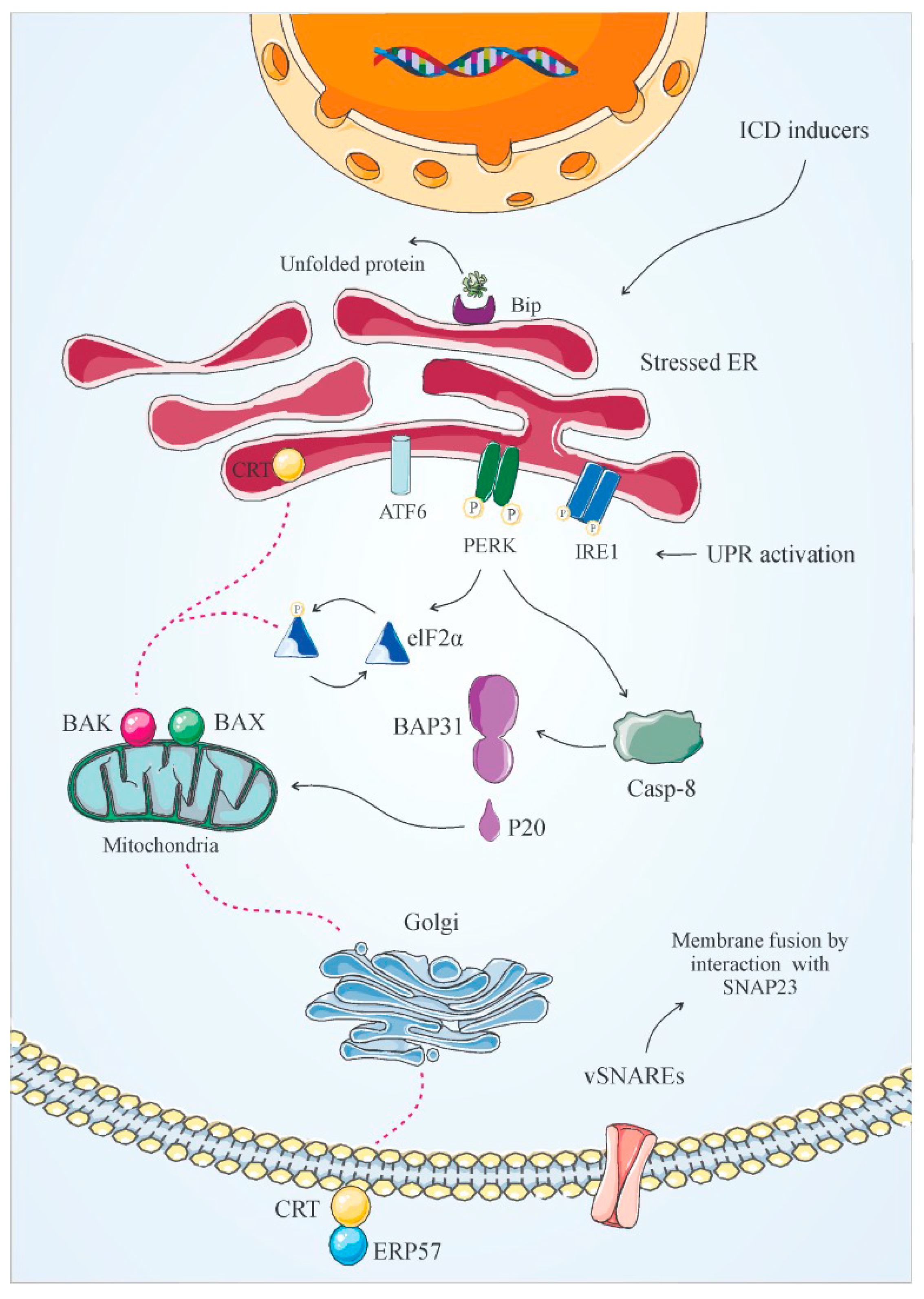 Cancers 12 01047 g003