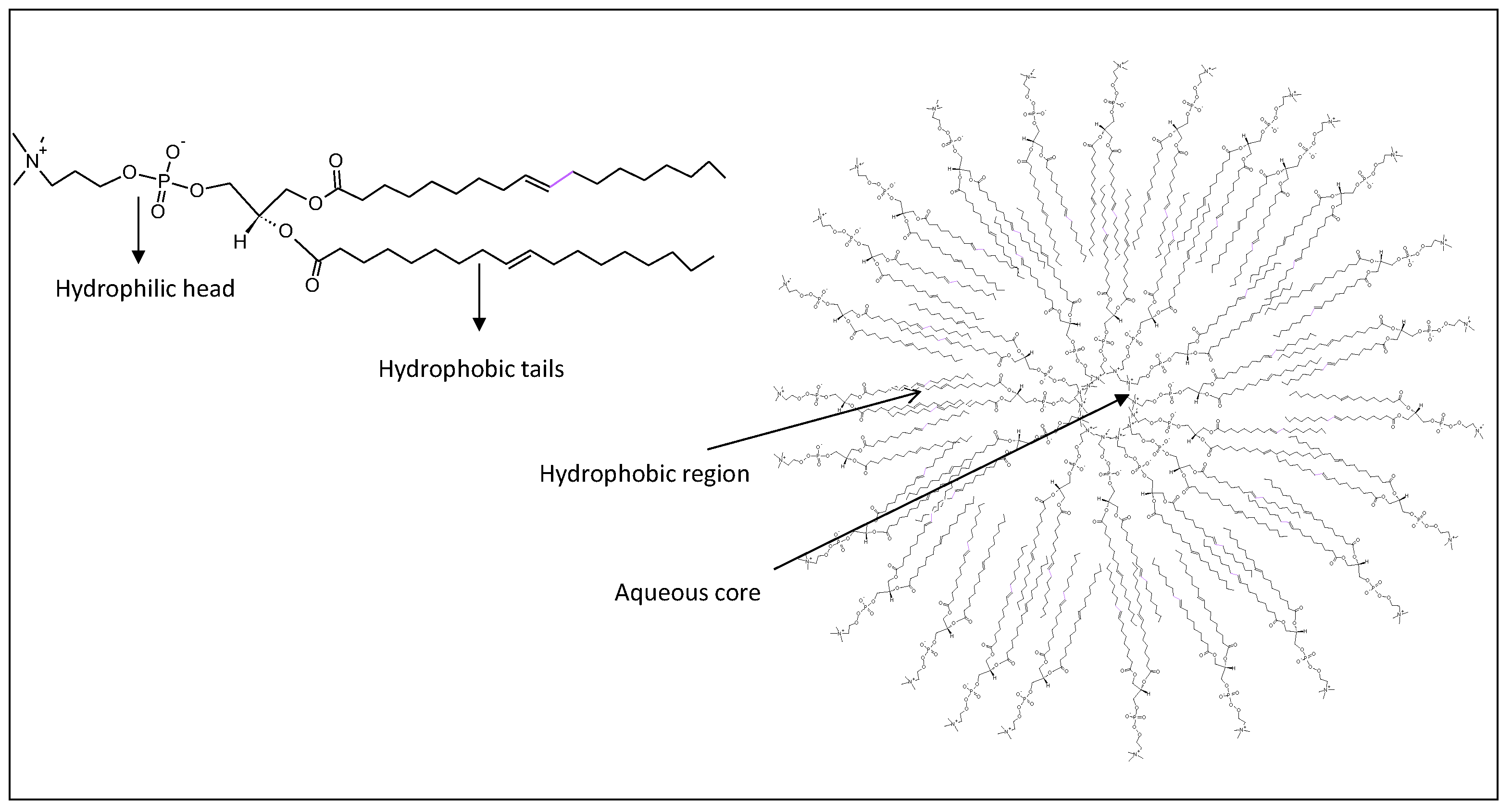 Cancers 12 01049 g001