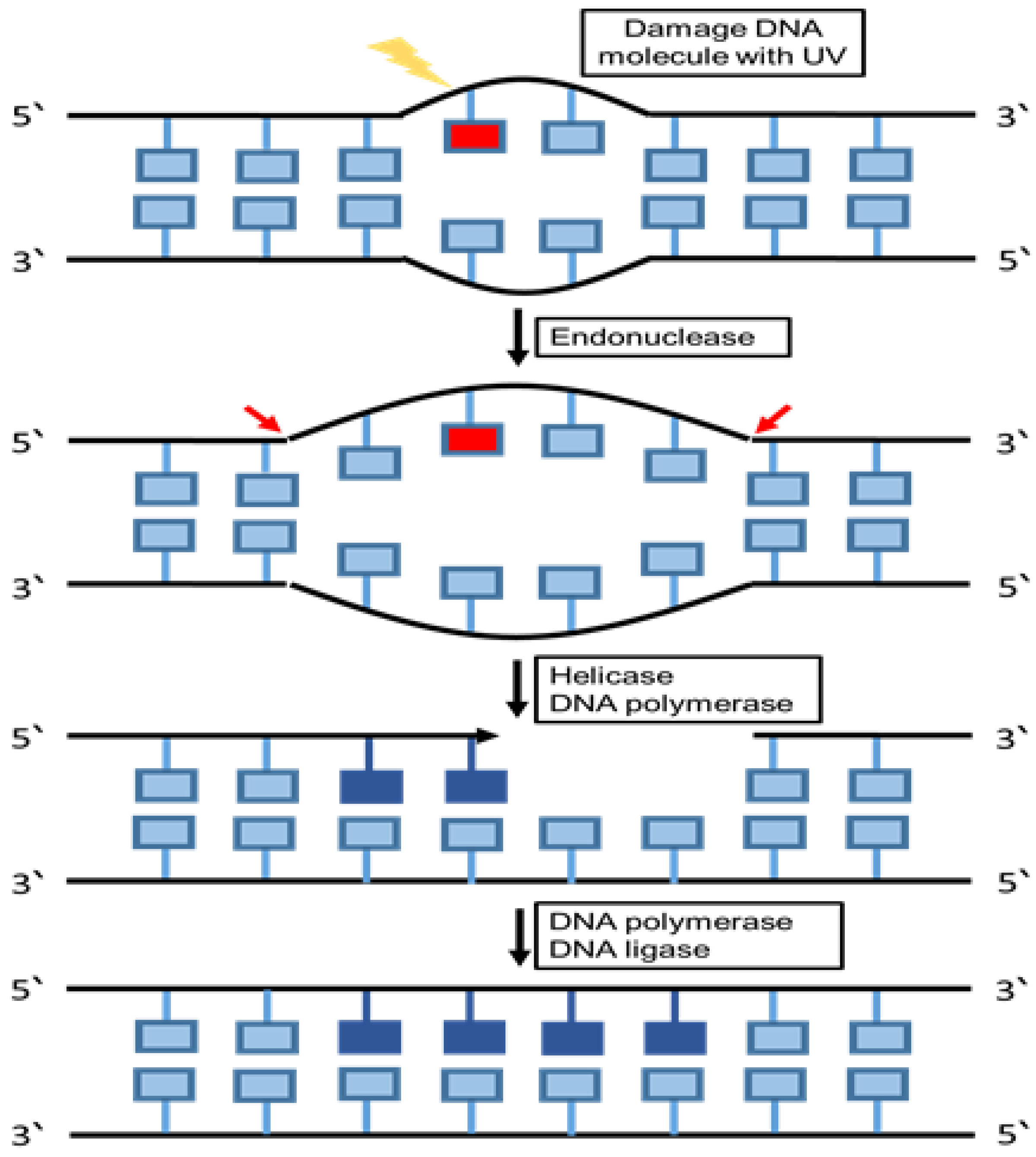 Cancers 12 01050 g004