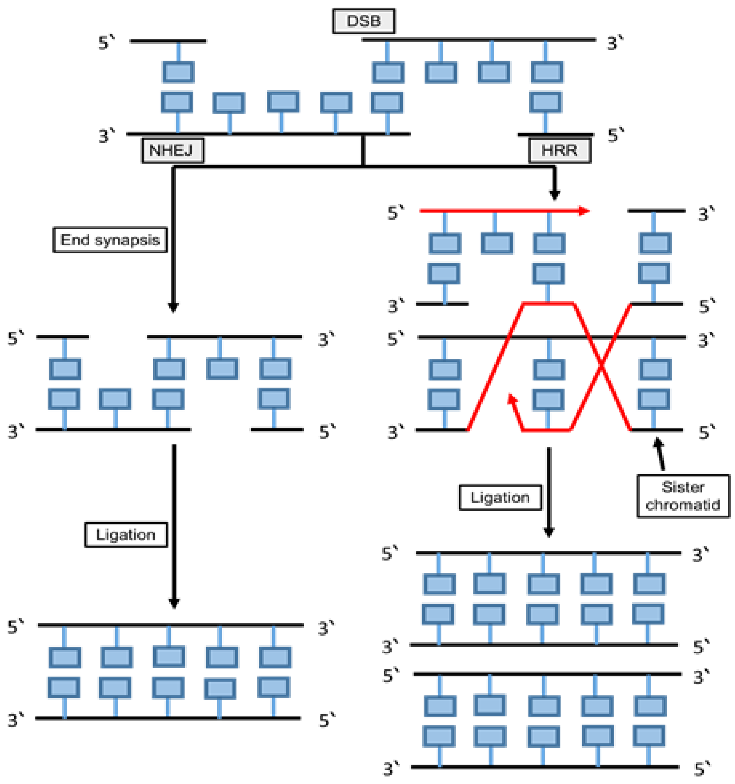 Cancers 12 01050 g006
