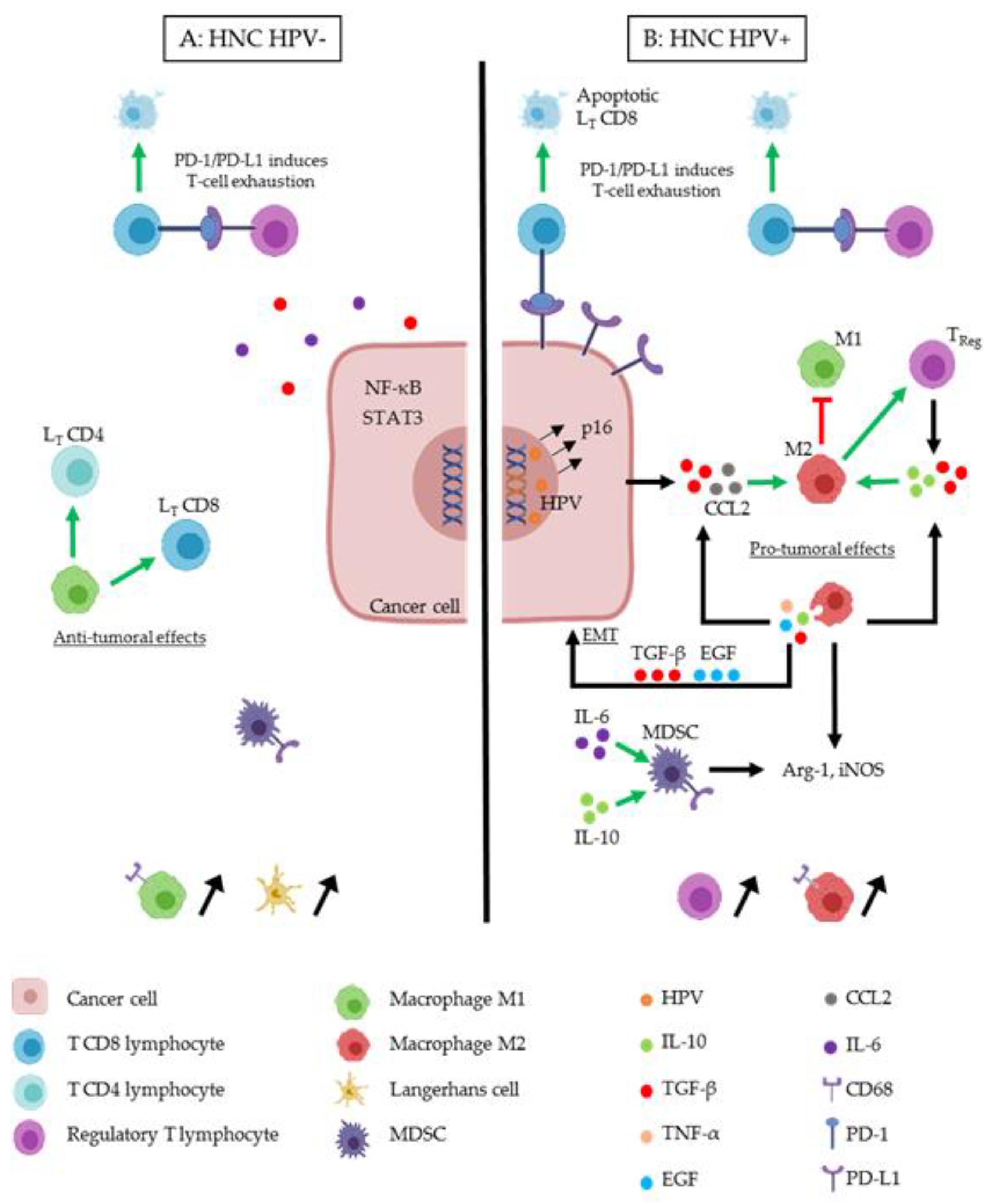 Cancers 12 01060 g001