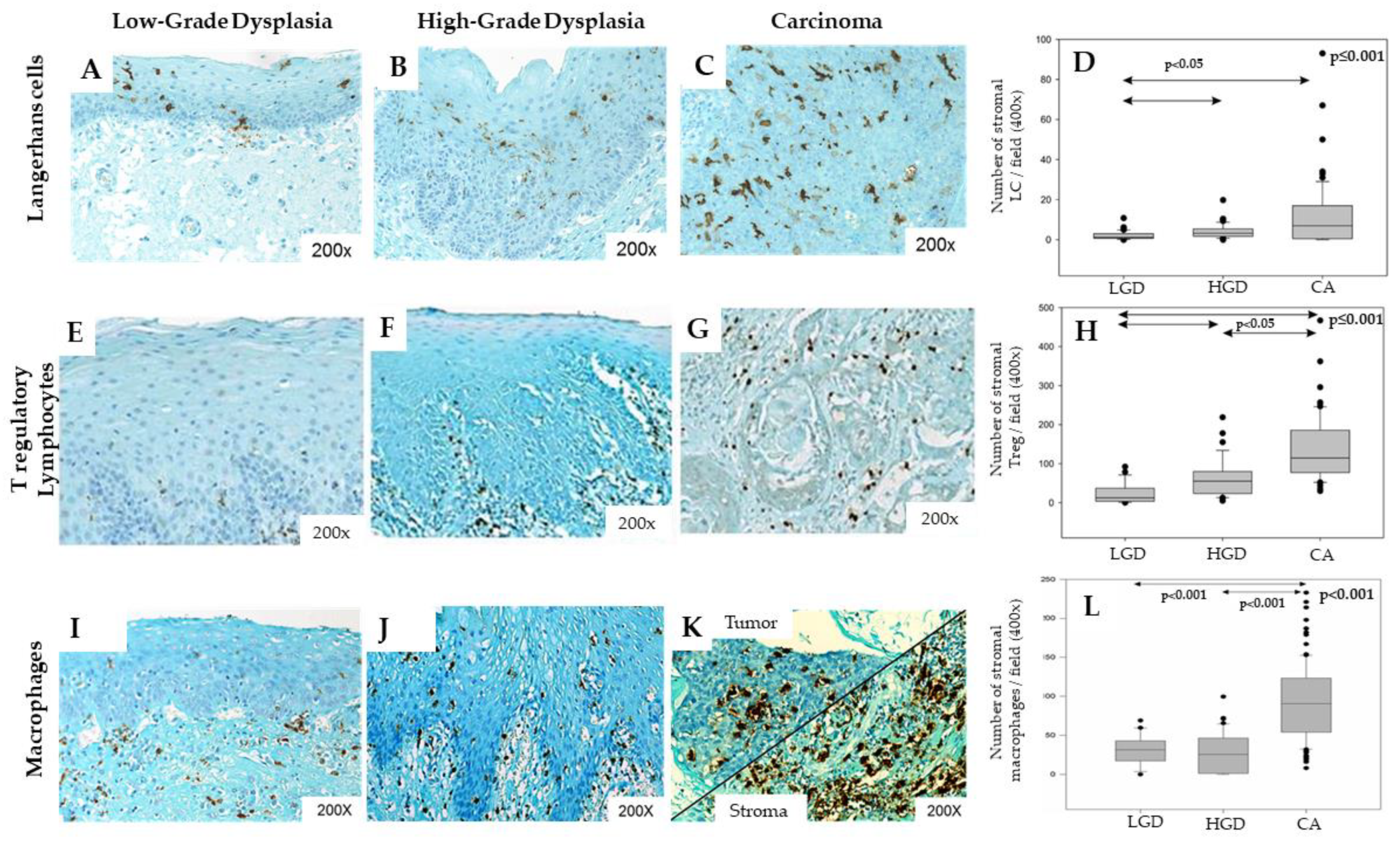 Cancers 12 01060 g003