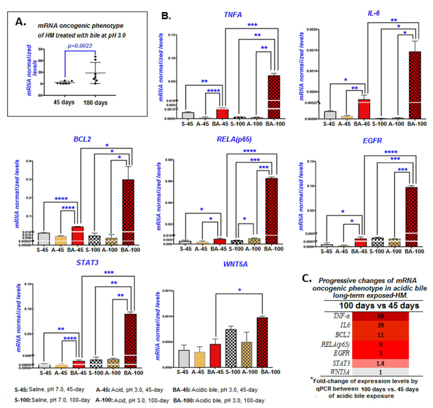 Cancers 12 01064 g004 Cancers 12 01064 g004