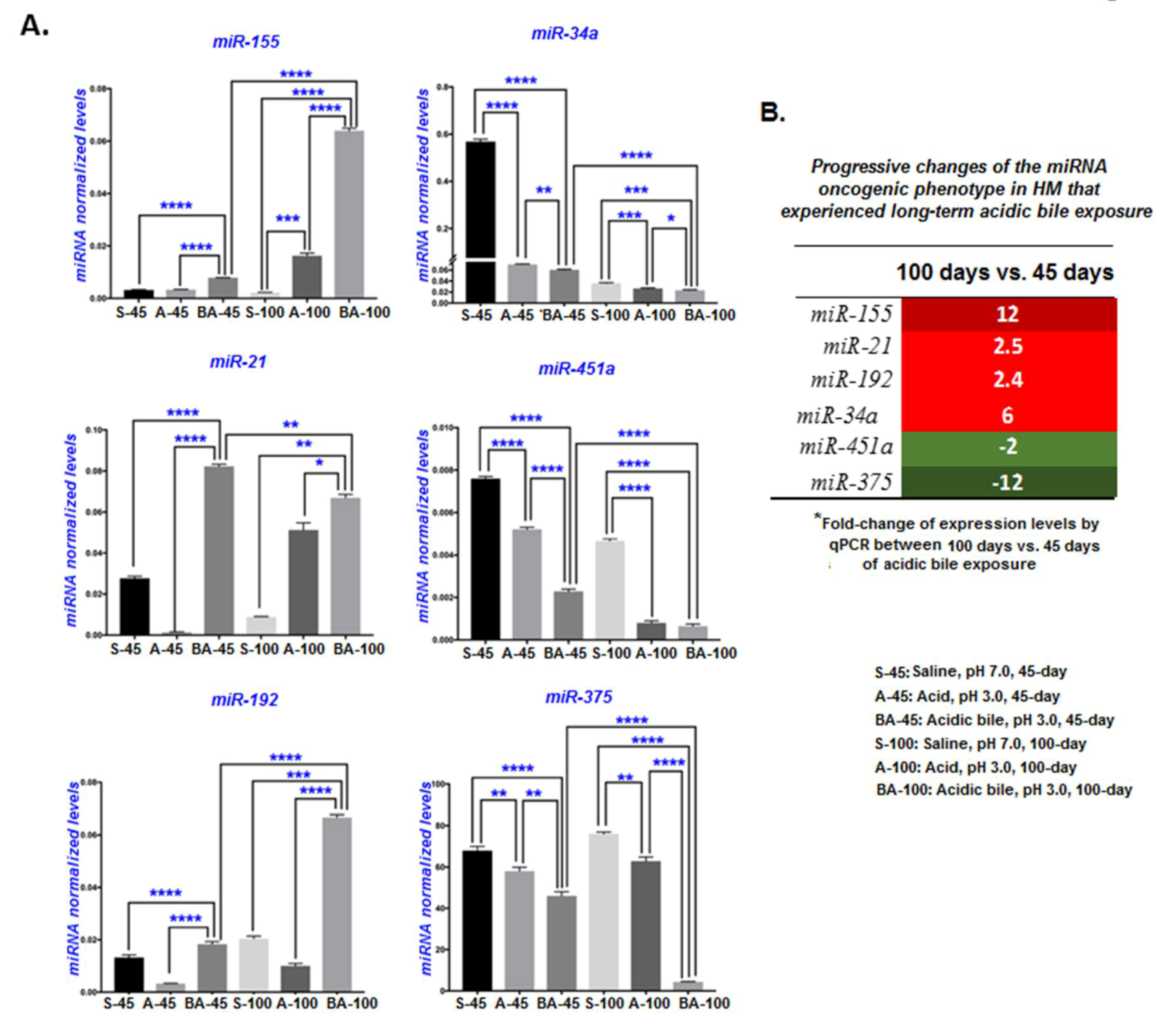 Cancers 12 01064 g005 Cancers 12 01064 g005