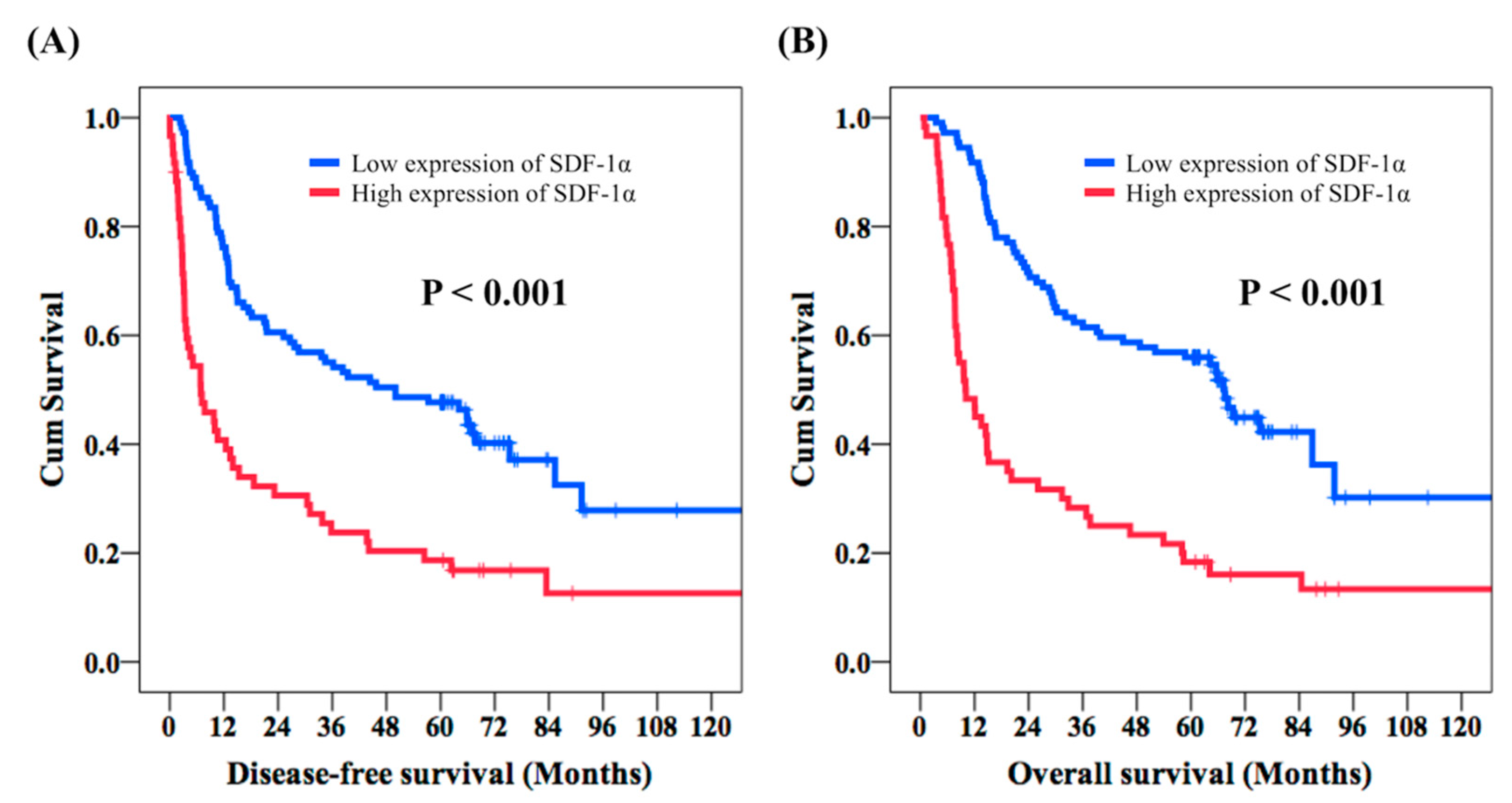 Cancers 12 01067 g002 Cancers 12 01067 g002