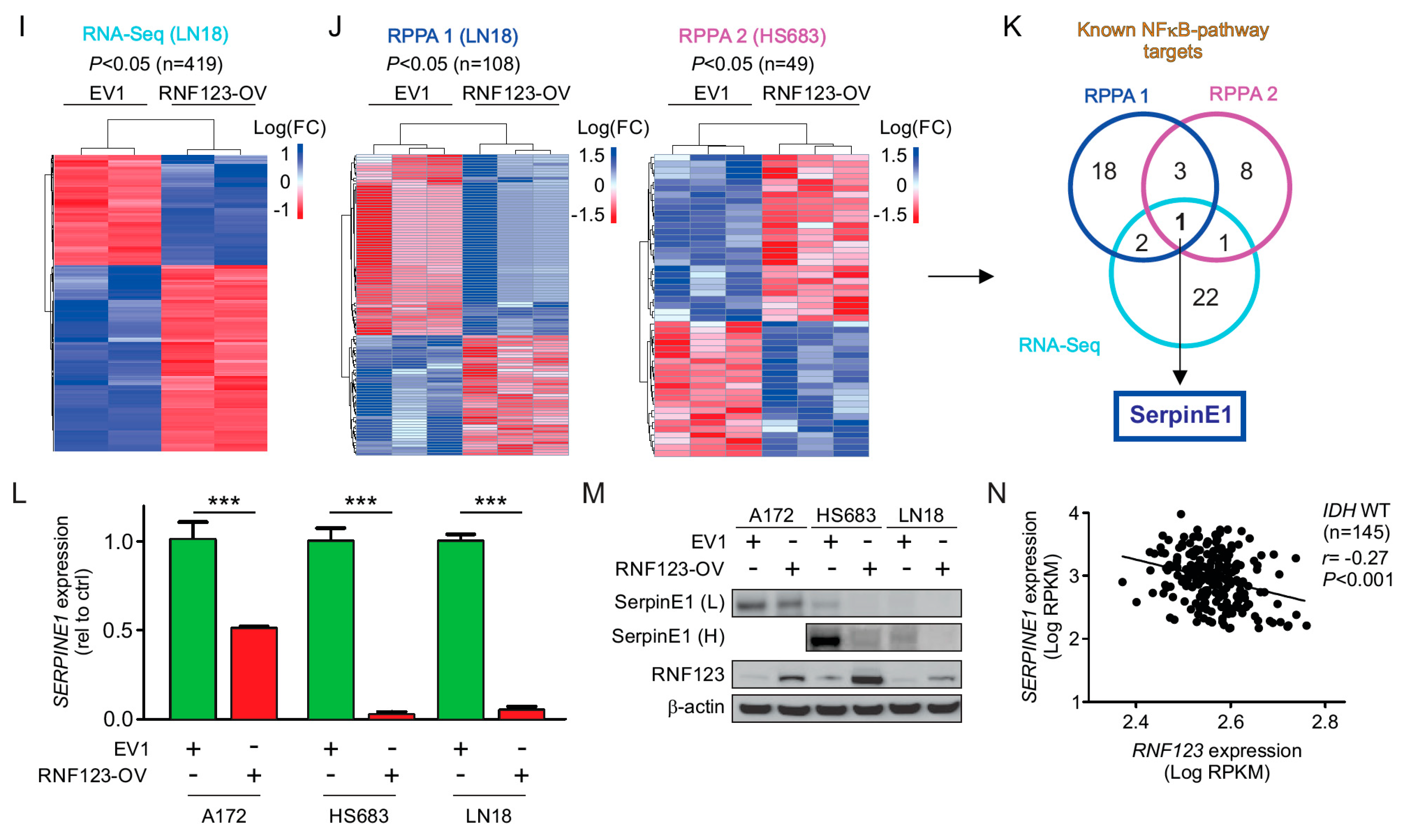 Cancers 12 01081 g002b Cancers 12 01081 g002b