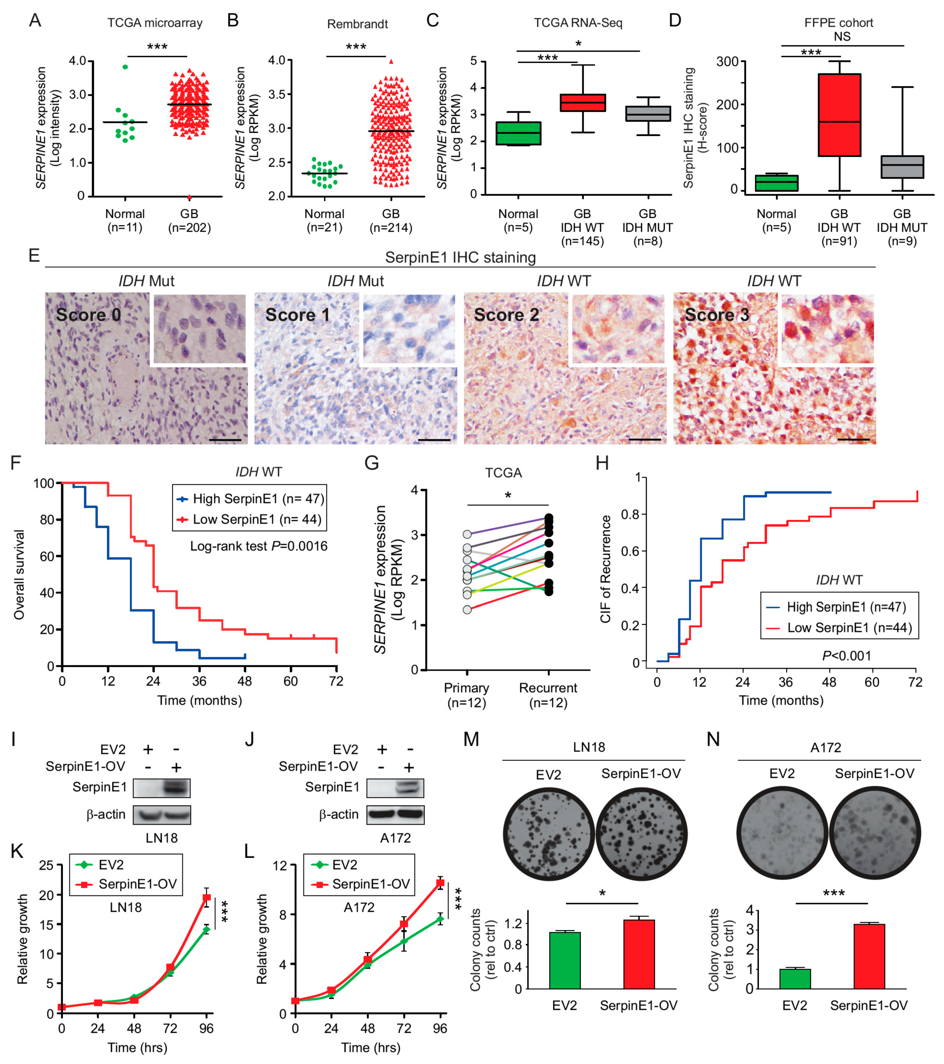 Cancers 12 01081 g003 Cancers 12 01081 g003