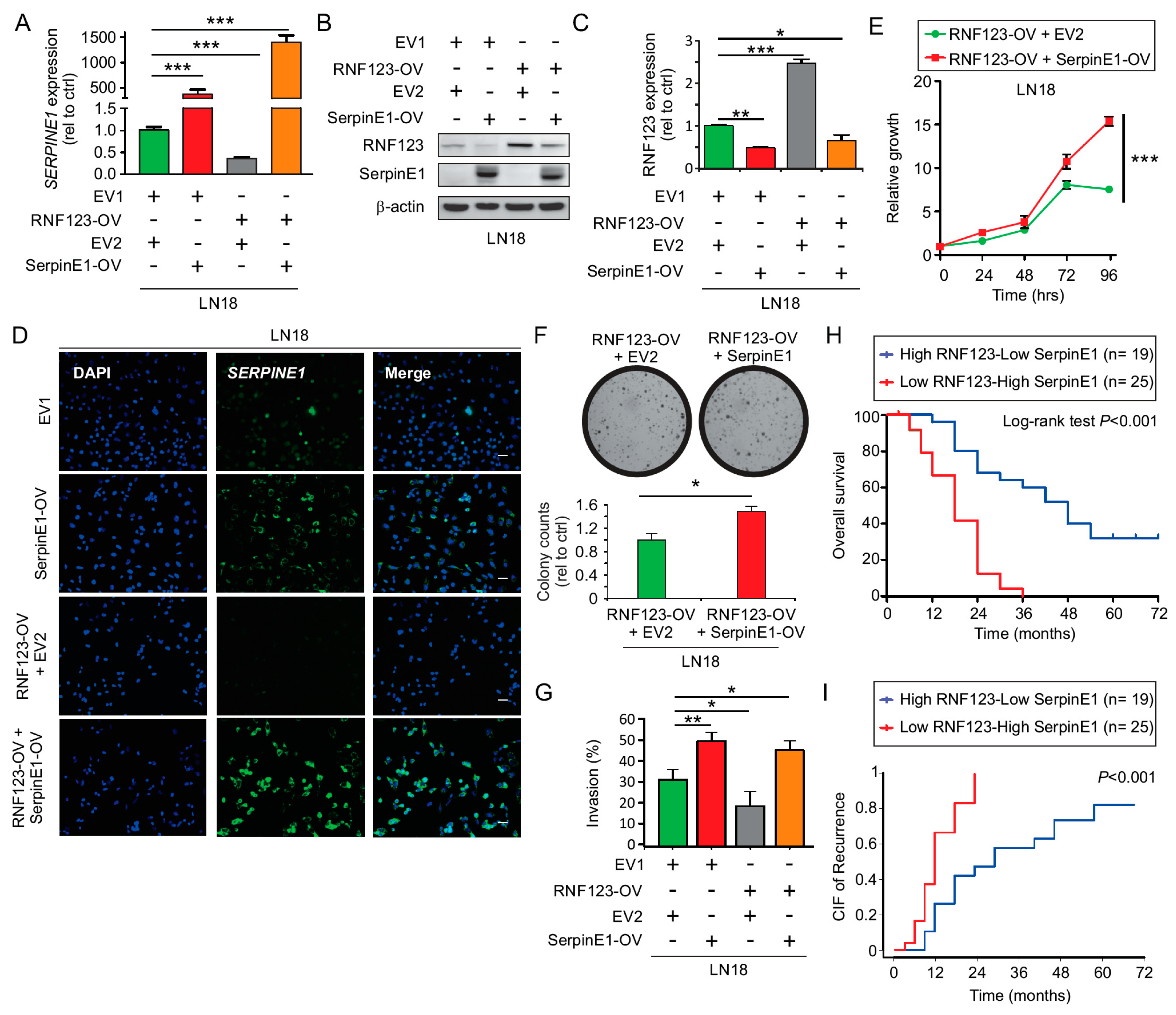 Cancers 12 01081 g005 Cancers 12 01081 g005