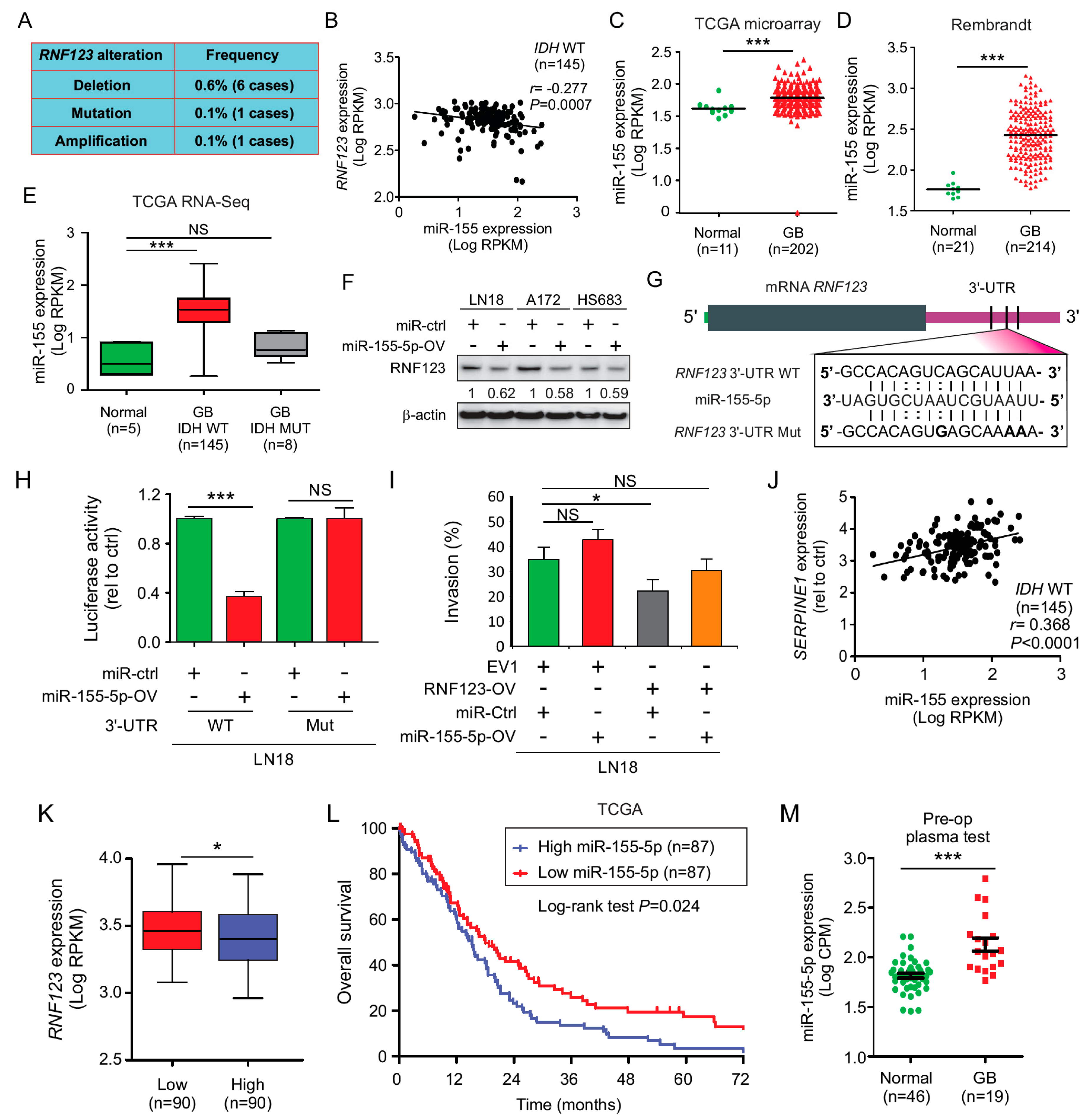 Cancers 12 01081 g006 Cancers 12 01081 g006