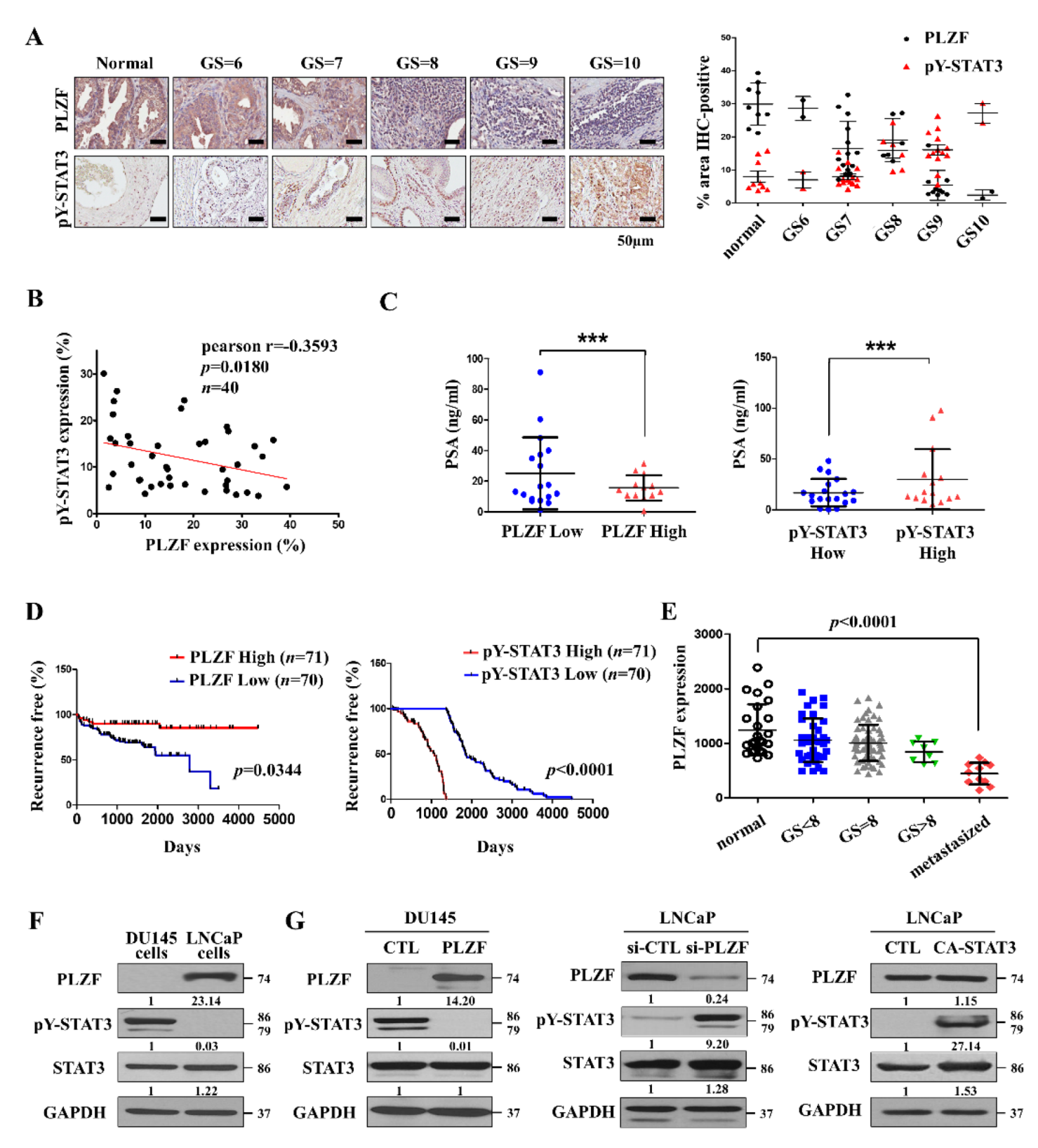 Cancers 12 01083 g001