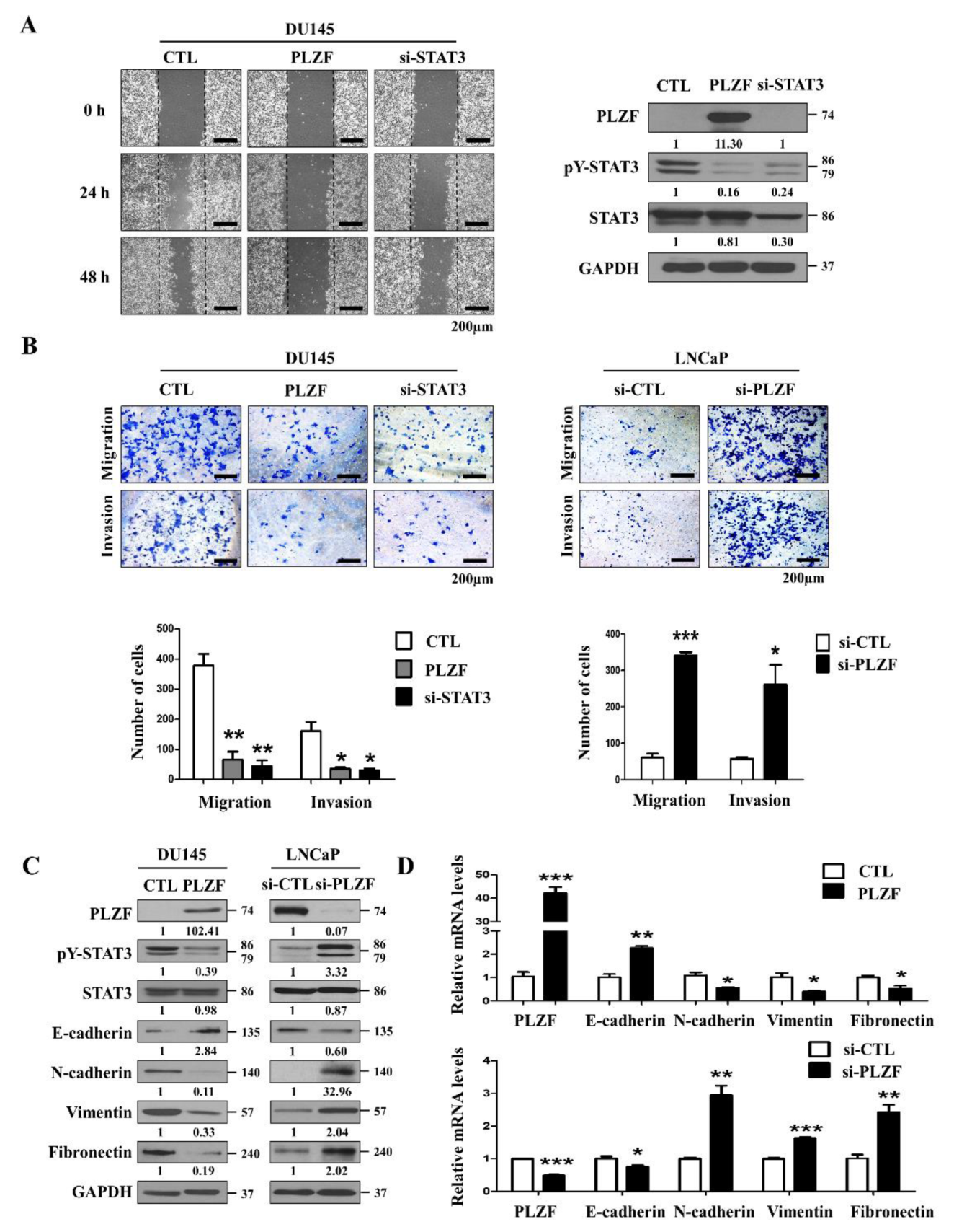 Cancers 12 01083 g003
