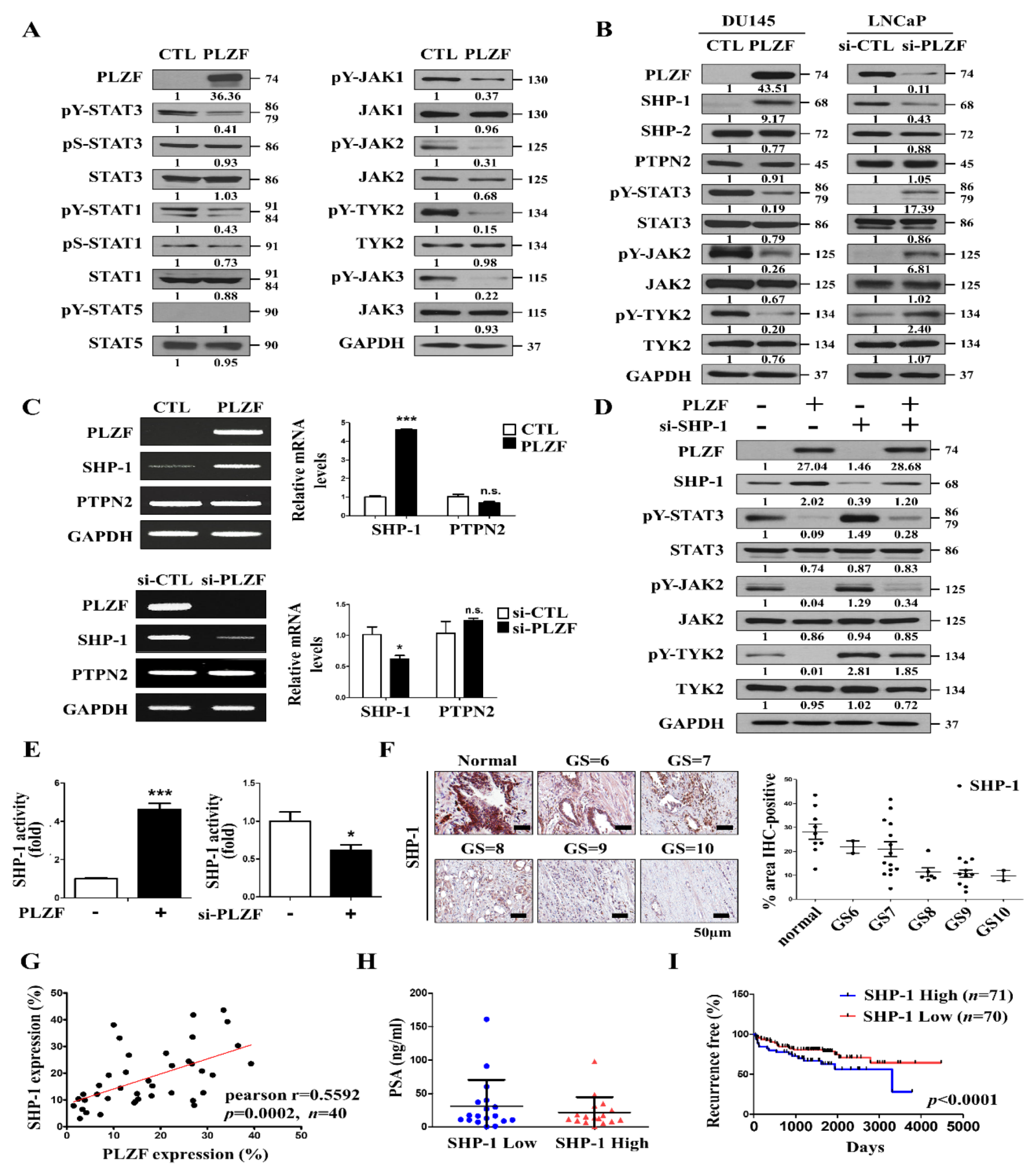 Cancers 12 01083 g004