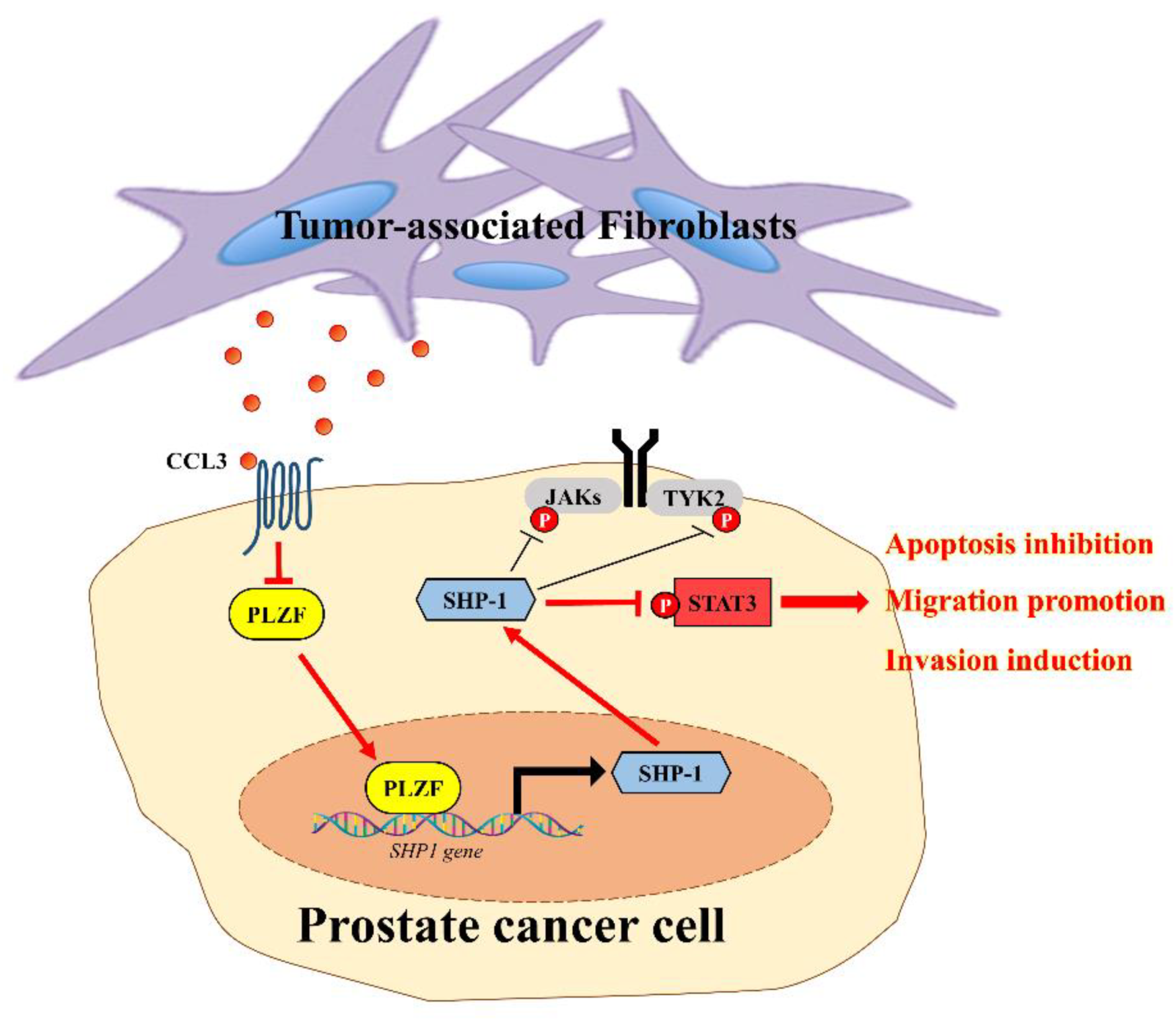 Cancers 12 01083 g007