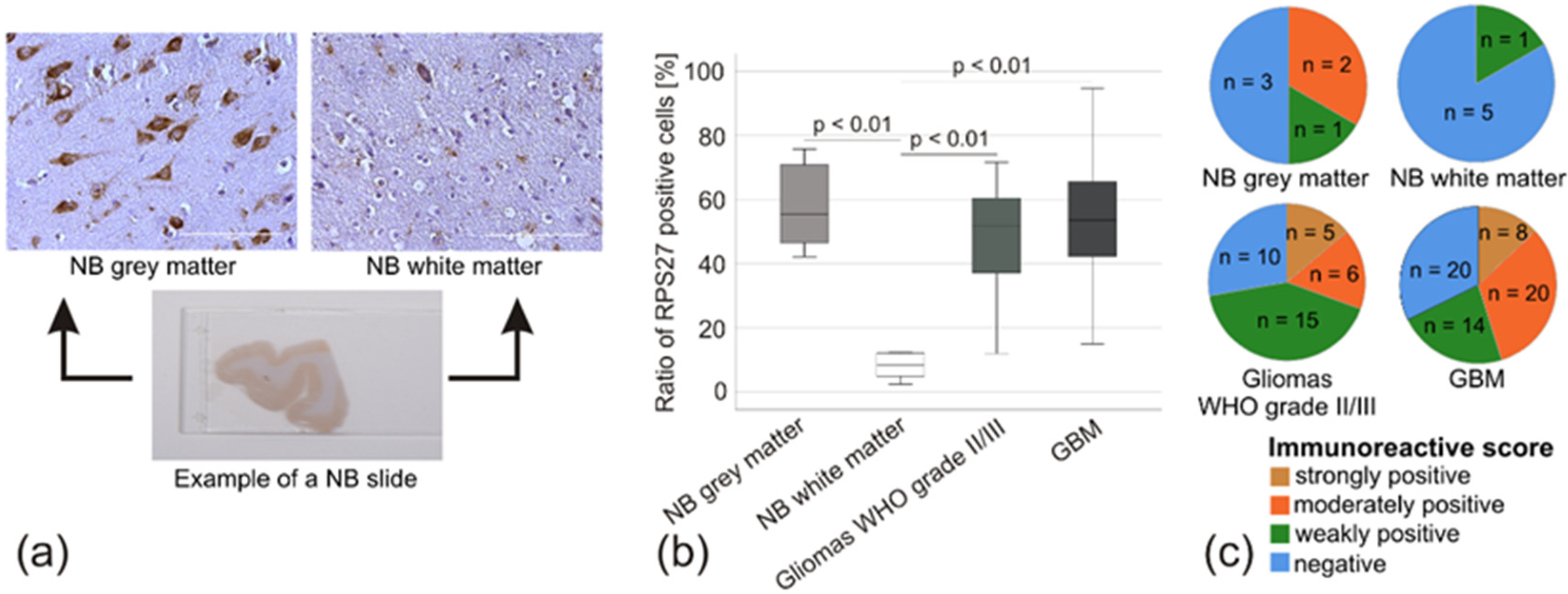 Cancers 12 01085 g005