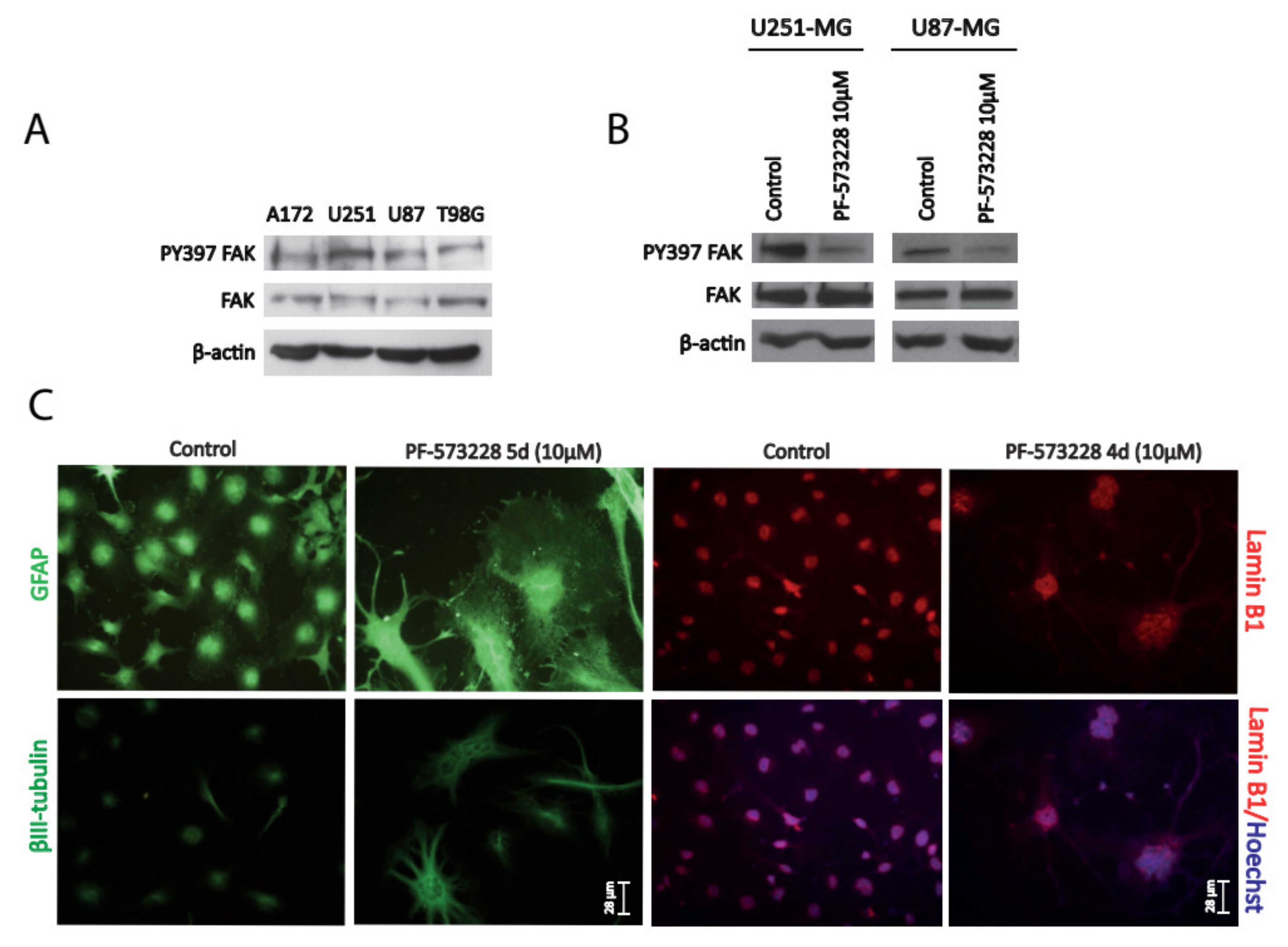 Cancers 12 01086 g001 Cancers 12 01086 g001