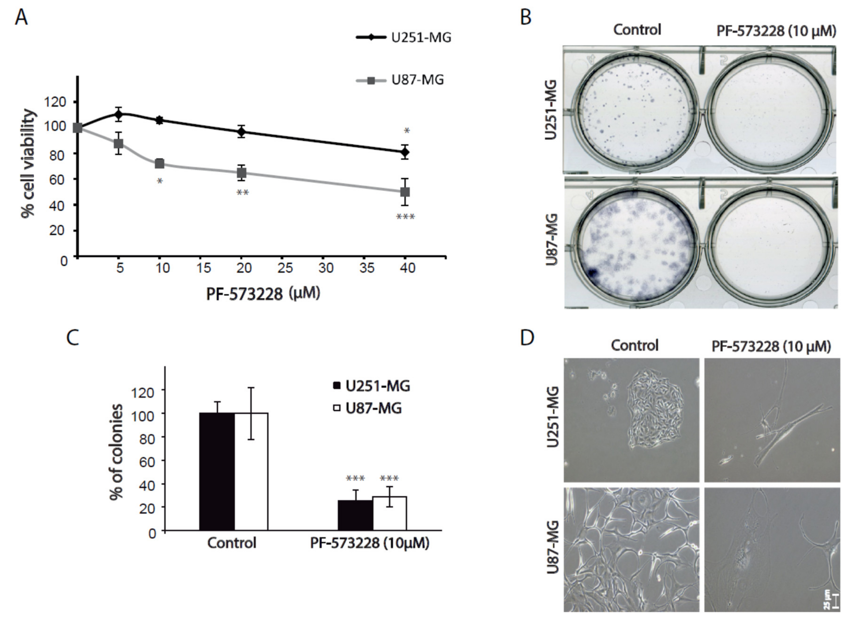 Cancers 12 01086 g002 Cancers 12 01086 g002