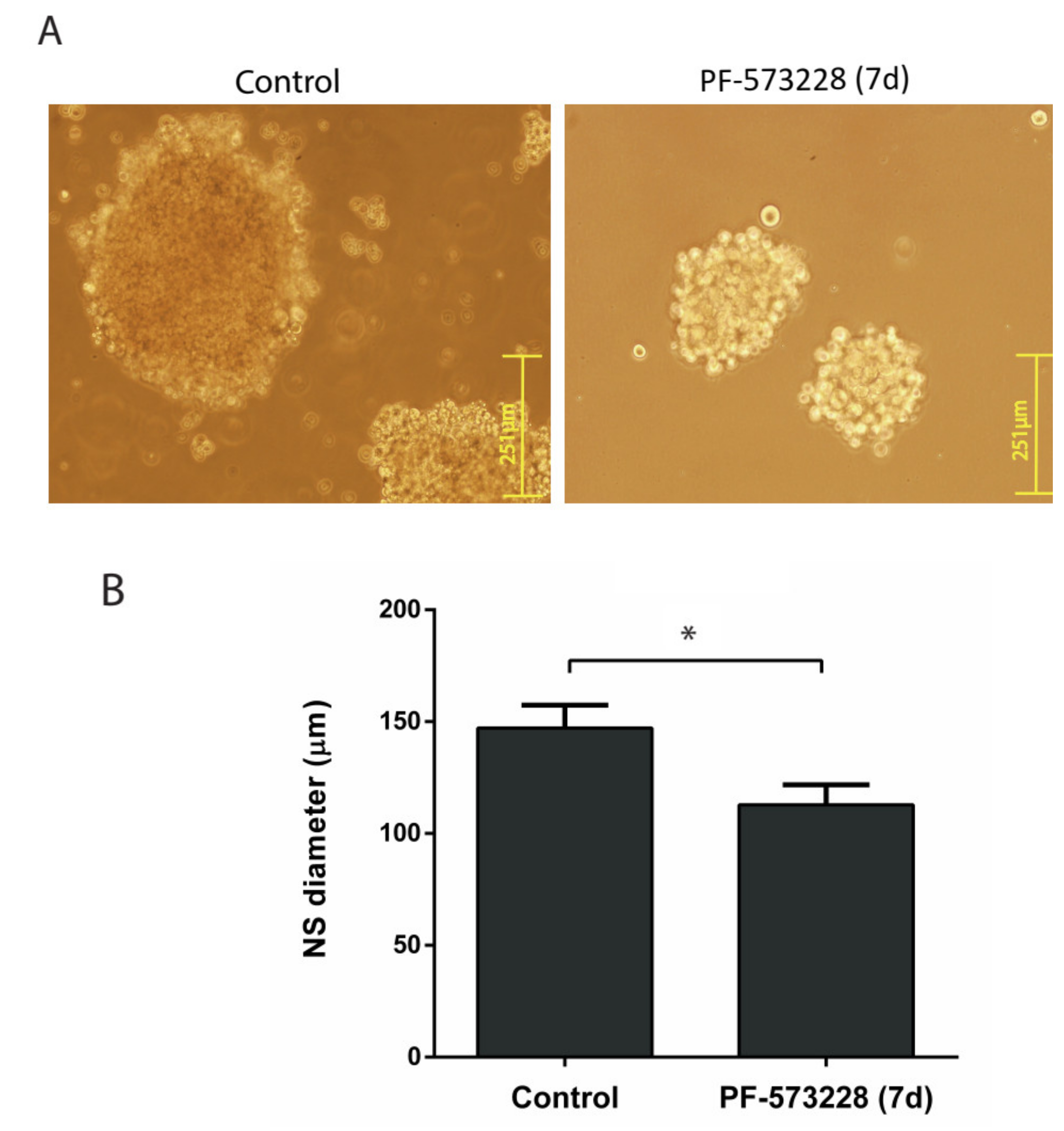 Cancers 12 01086 g004 Cancers 12 01086 g004