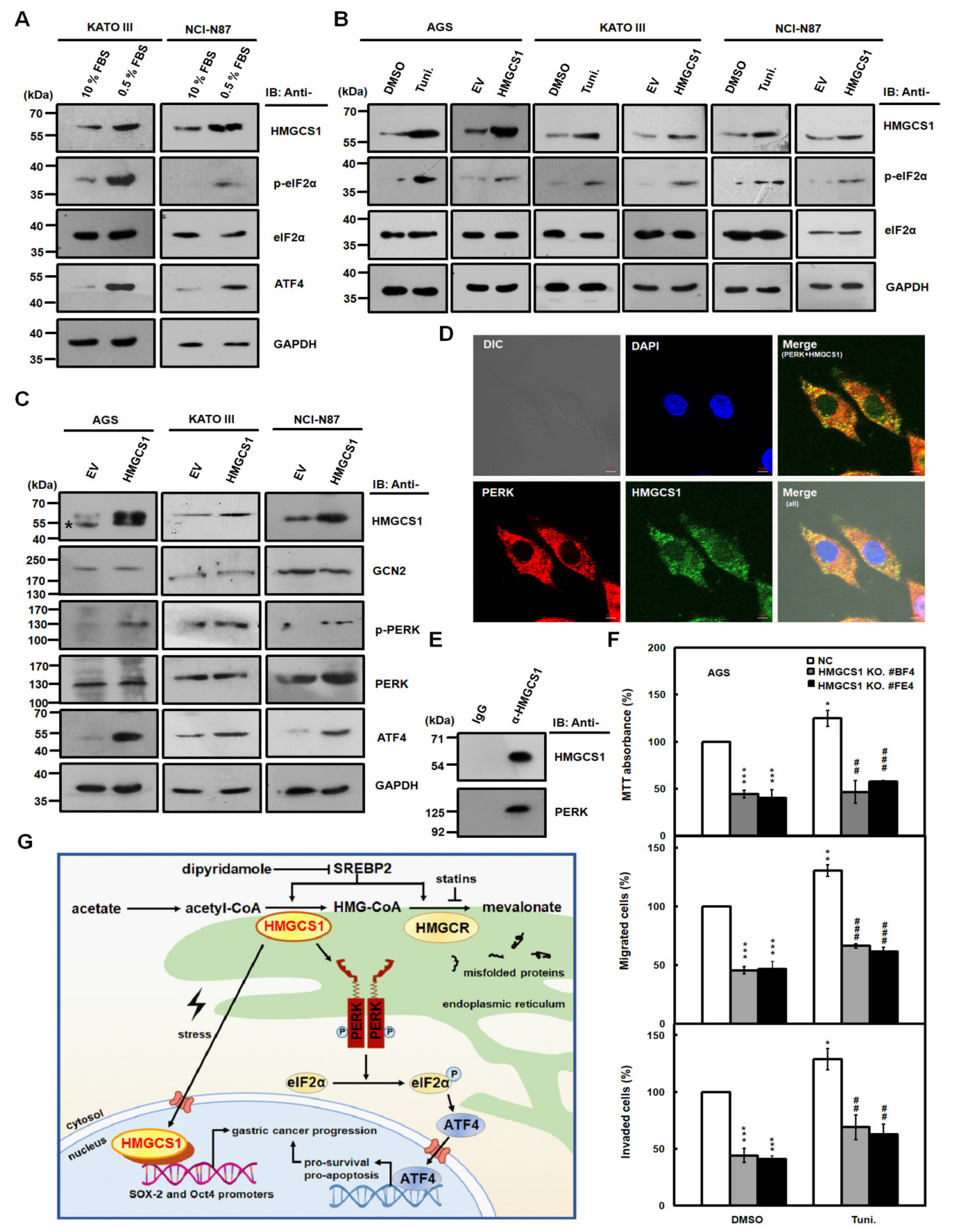 Cancers 12 01088 g007