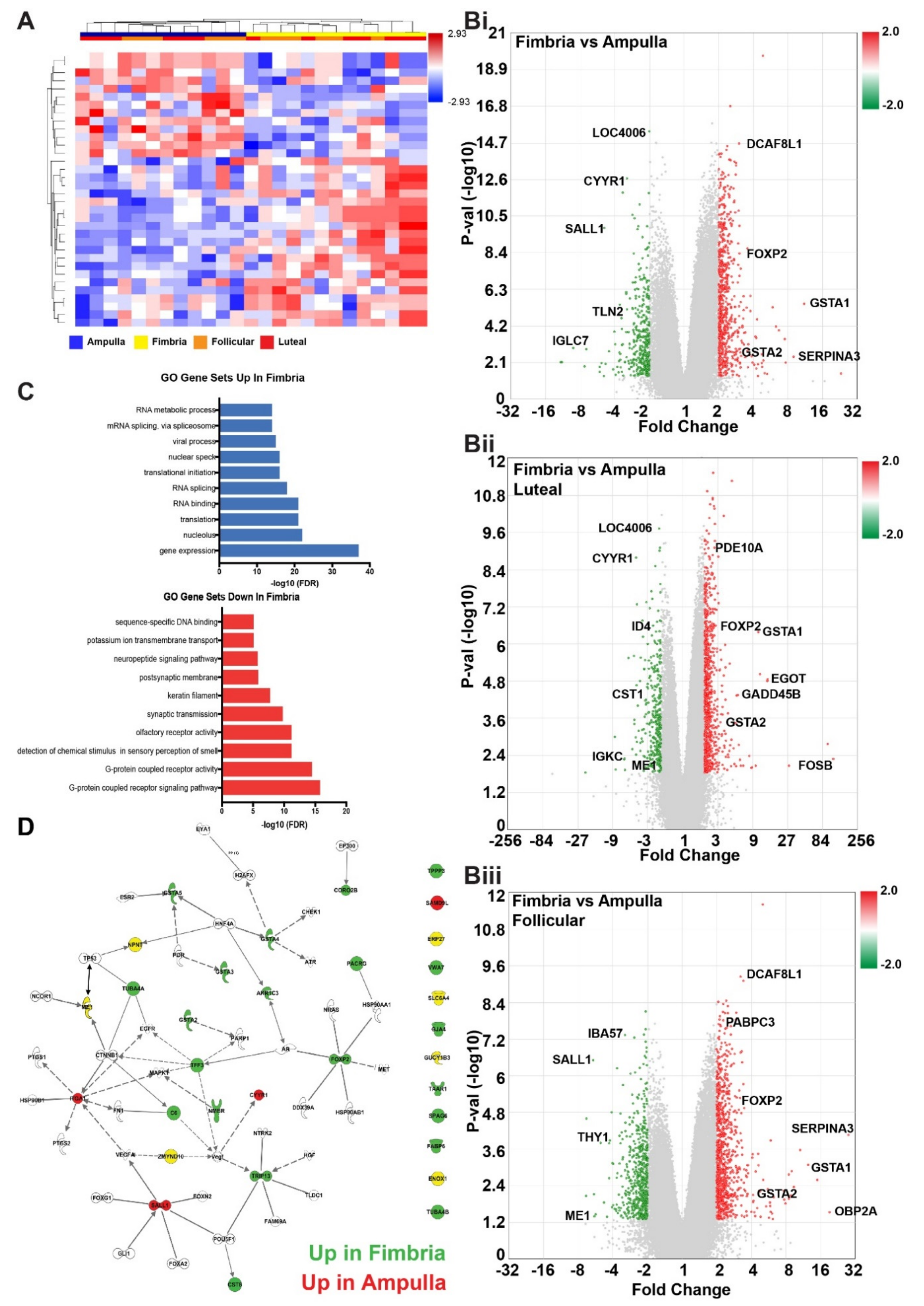 Cancers 12 01090 g003