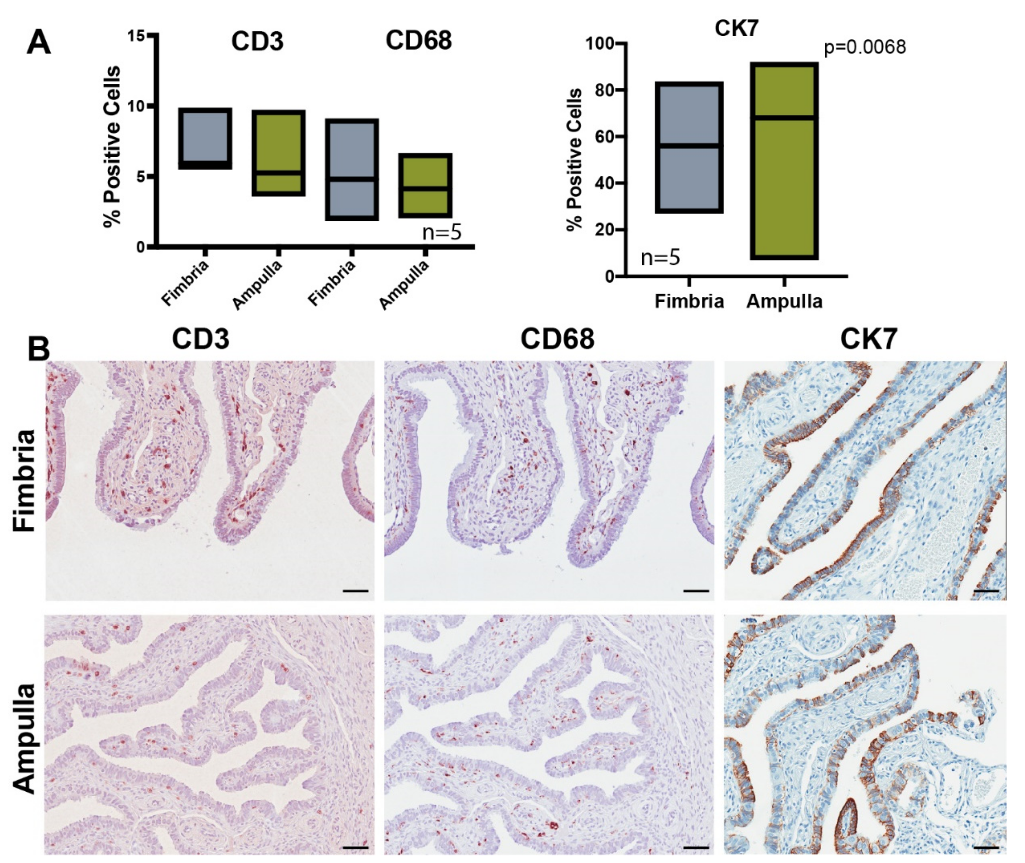 Cancers 12 01090 g005