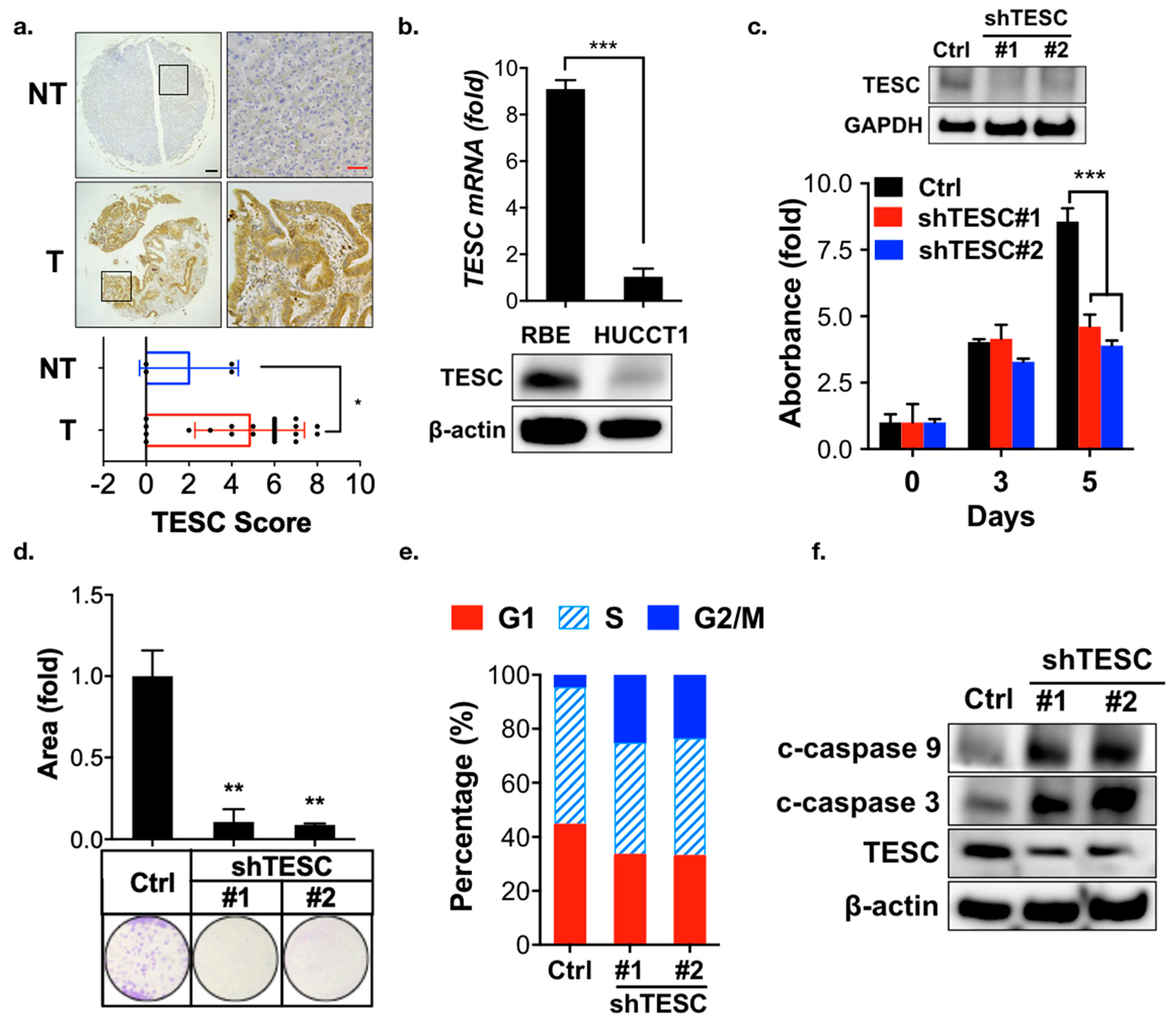 Cancers 12 01105 g003