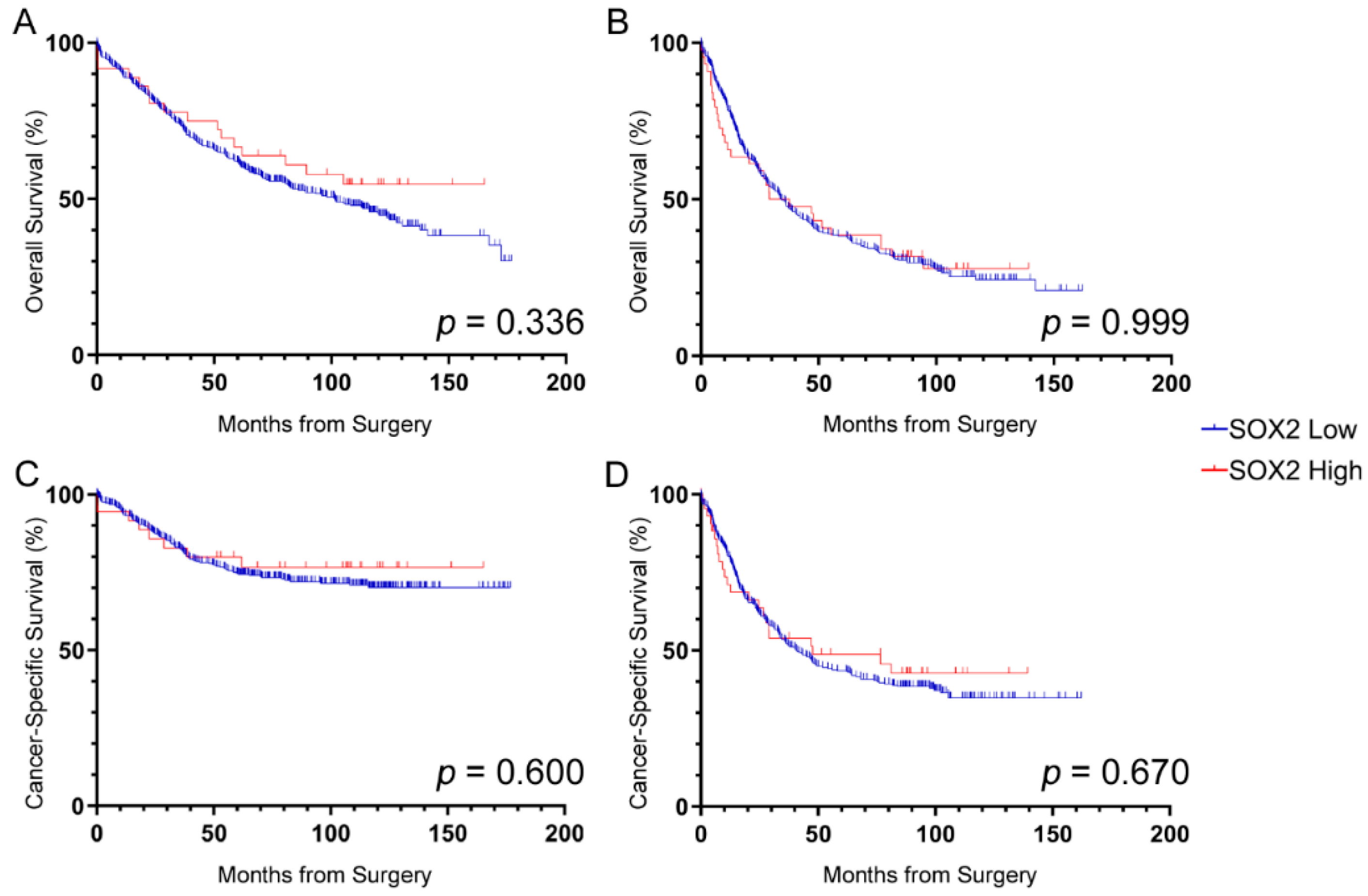 Cancers 12 01110 g002