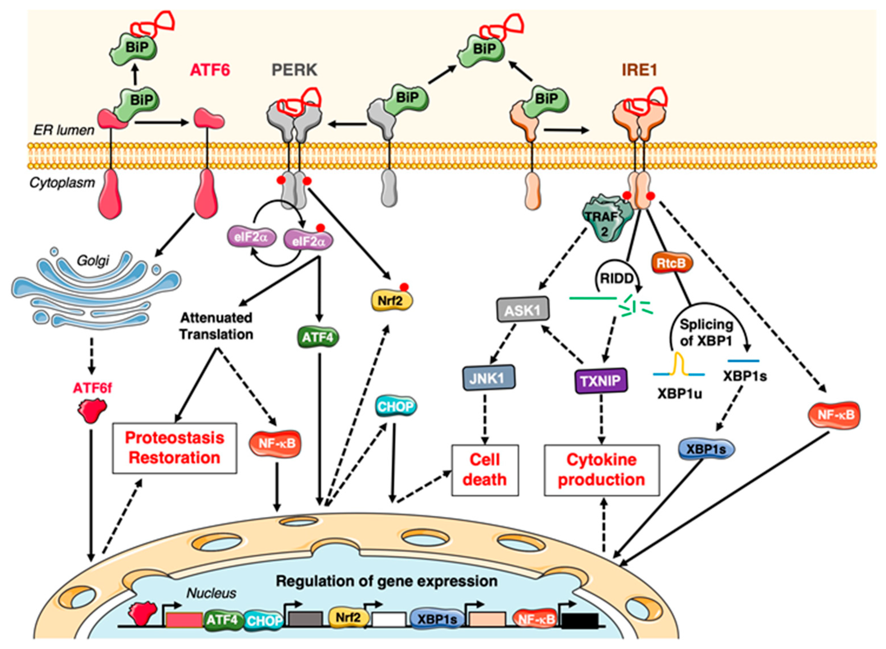 Cancers 12 01113 g003