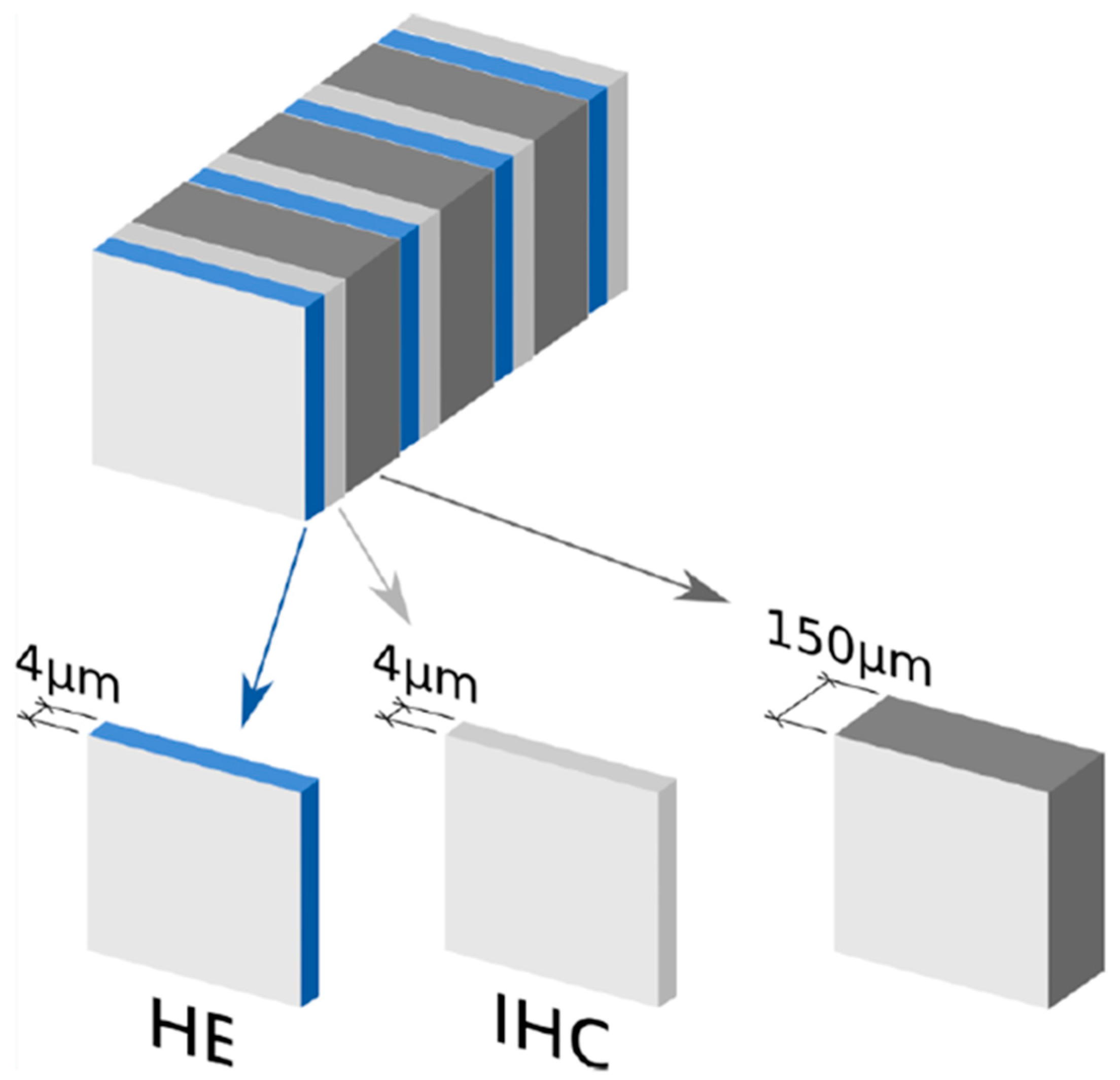 Cancers 12 01115 g003