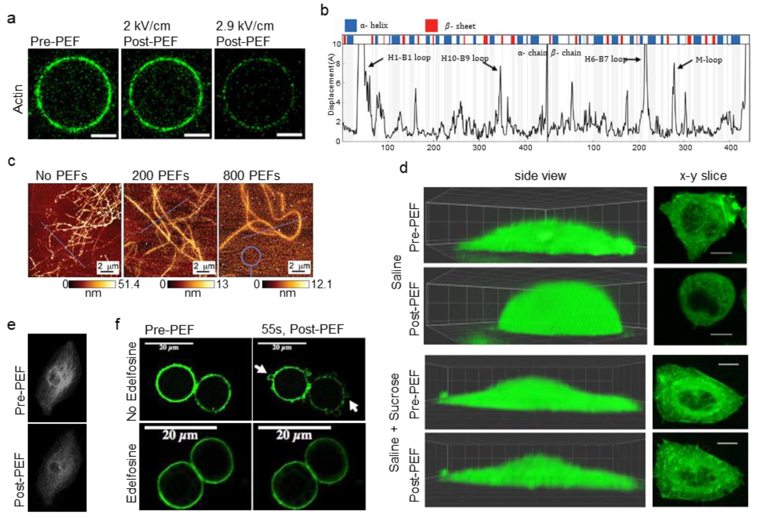 Cancers 12 01132 g004 Cancers 12 01132 g004
