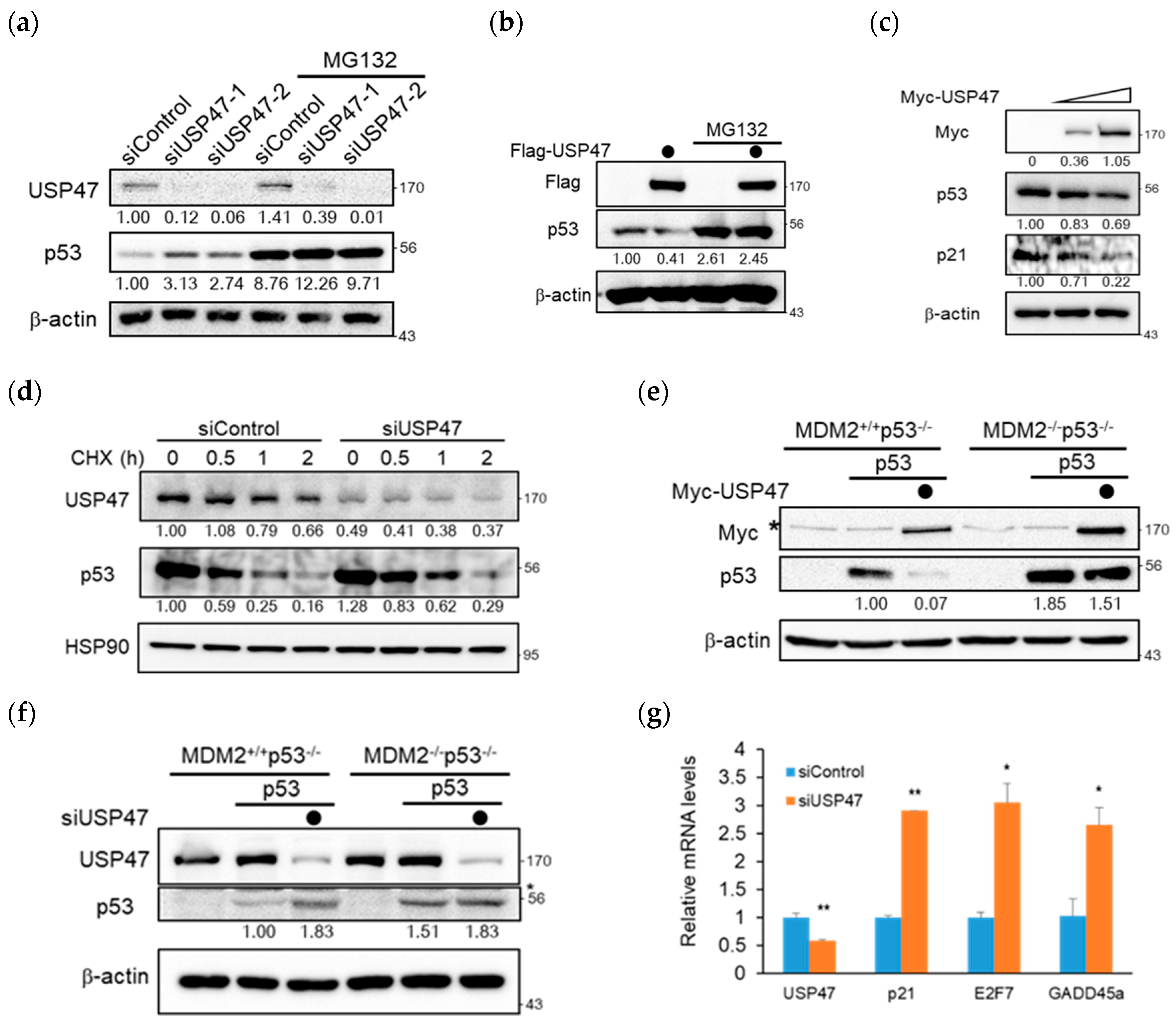 Cancers 12 01137 g002