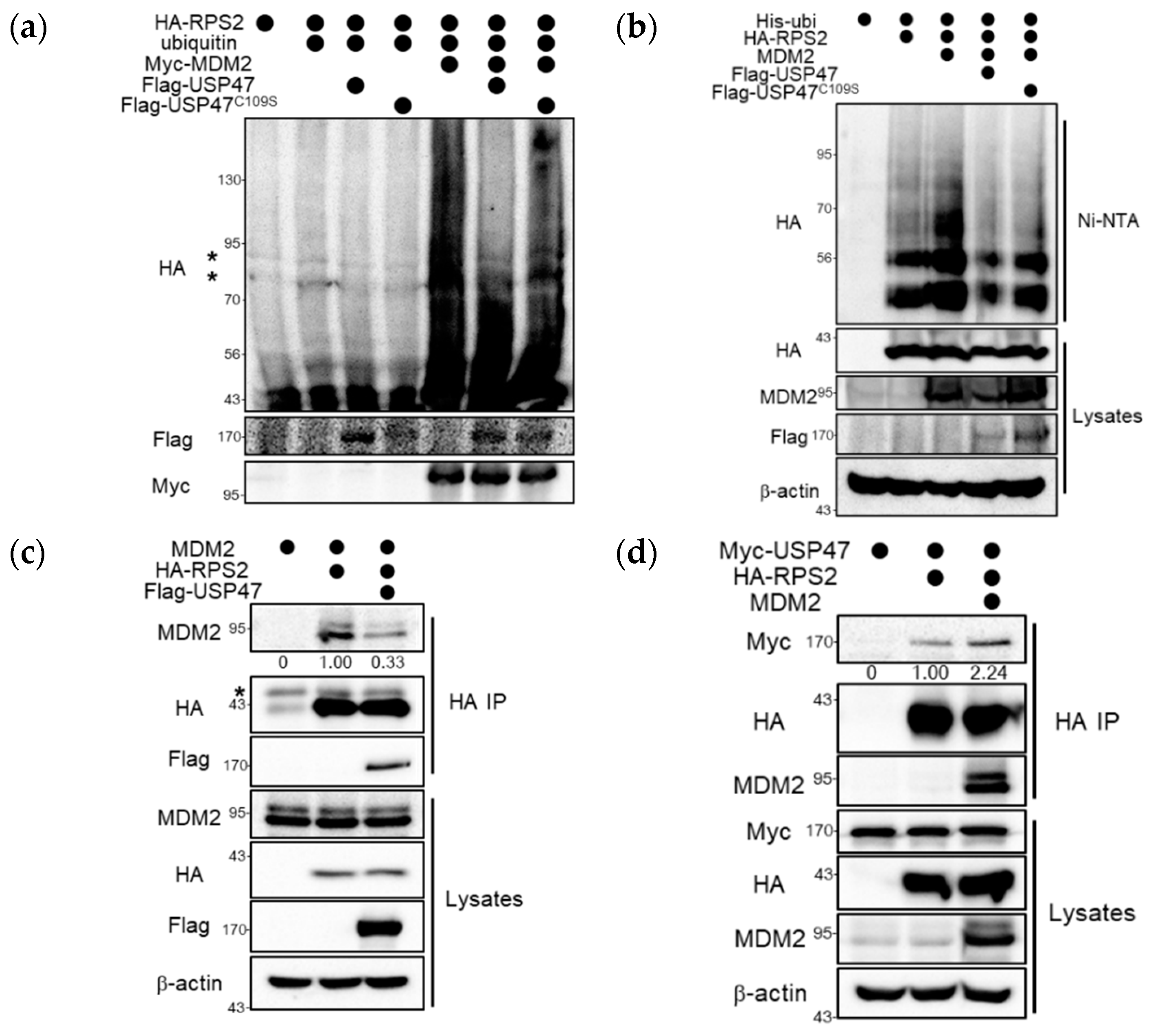 Cancers 12 01137 g003