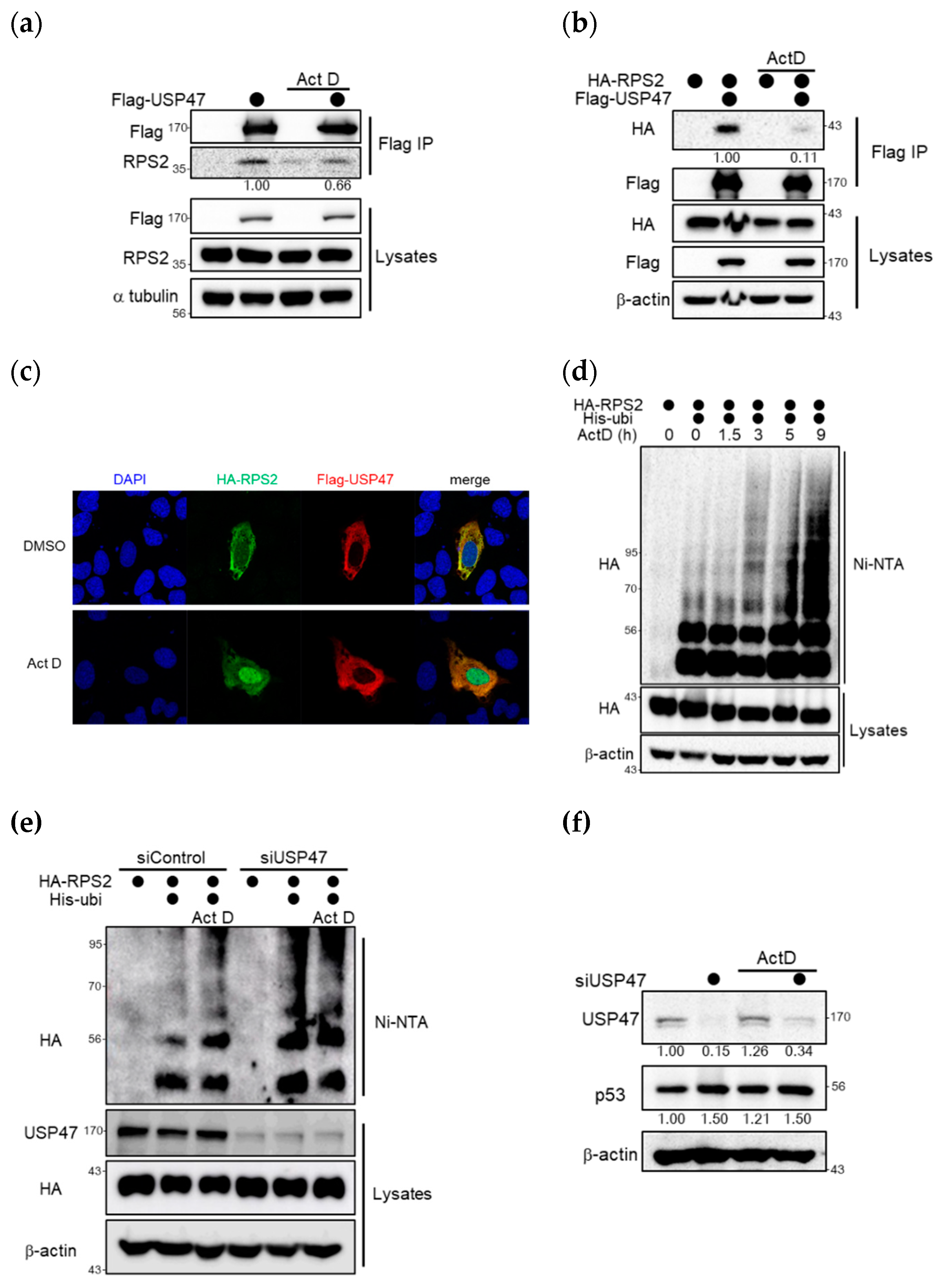 Cancers 12 01137 g005