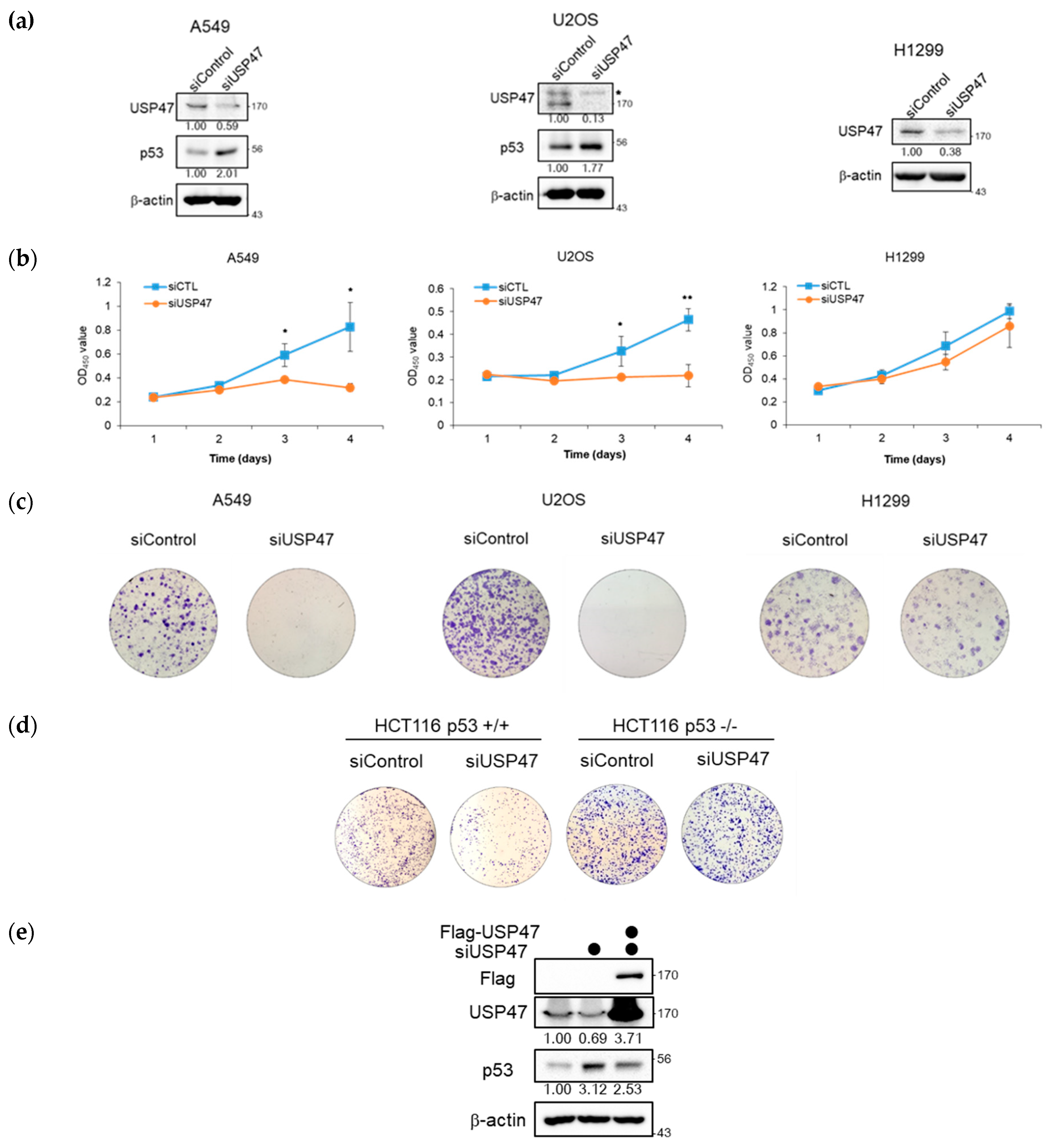 Cancers 12 01137 g006a