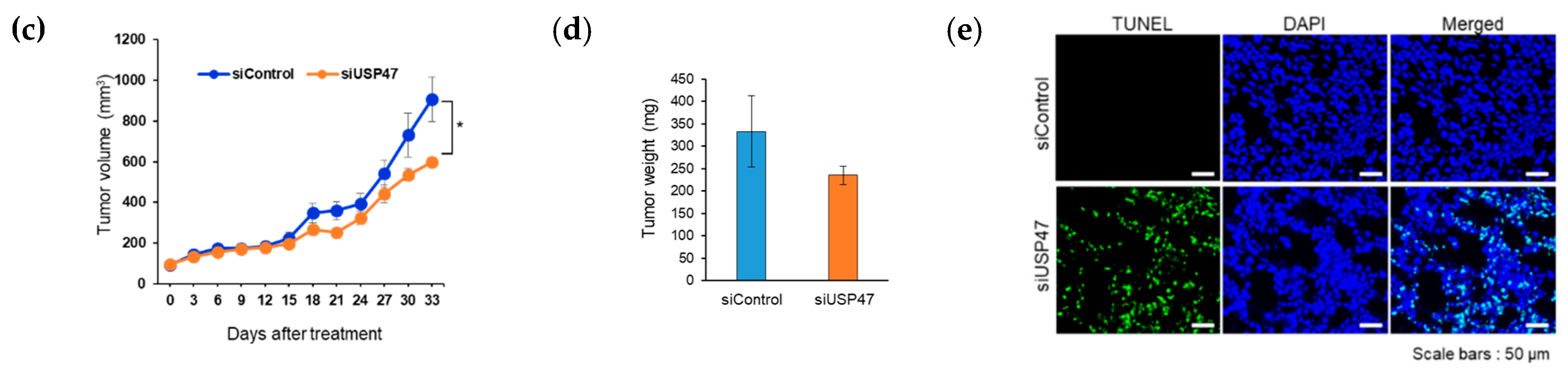 Cancers 12 01137 g007b
