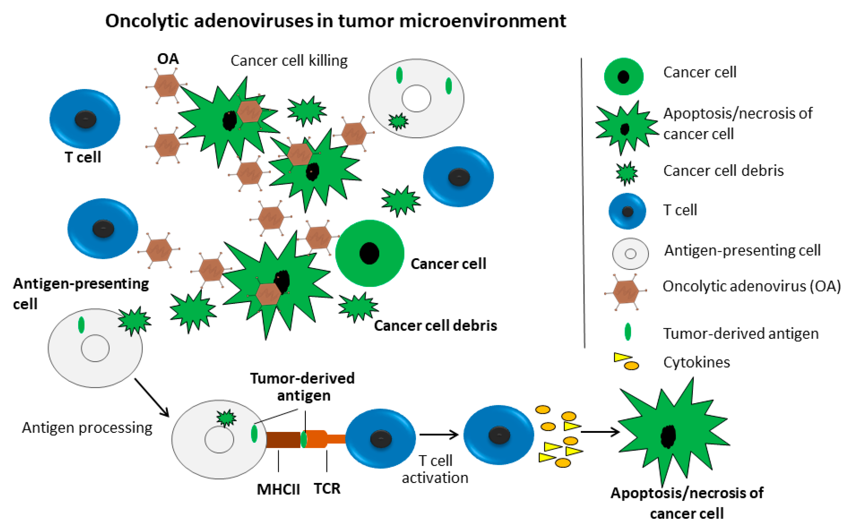 Cancers 12 01139 g002