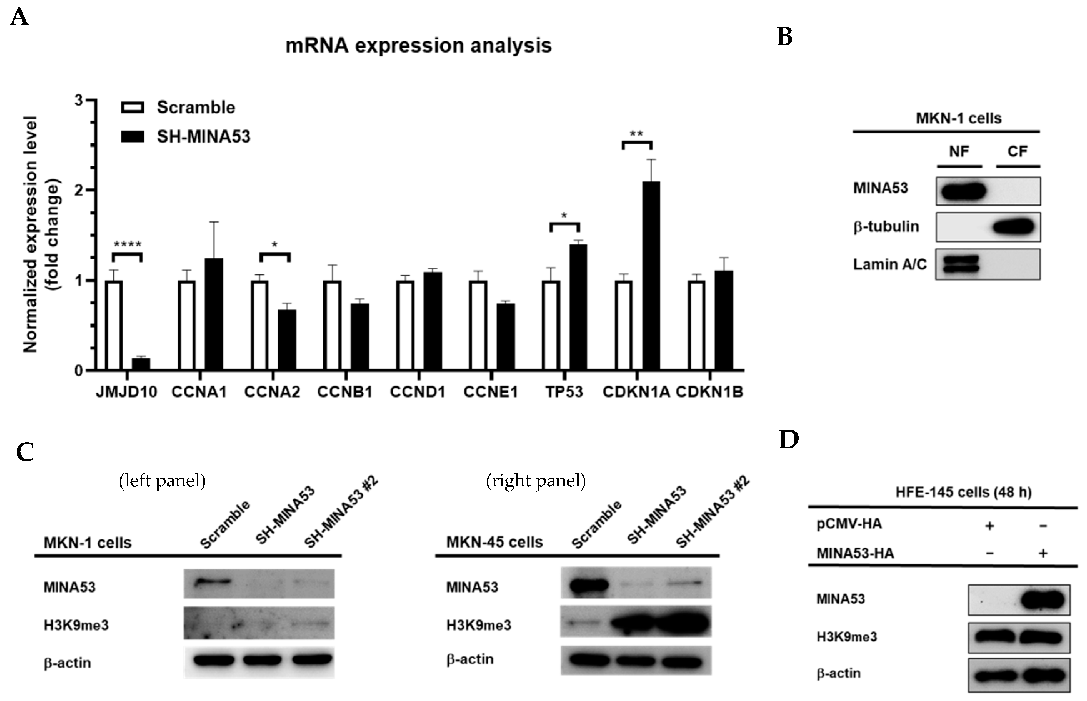Cancers 12 01141 g005