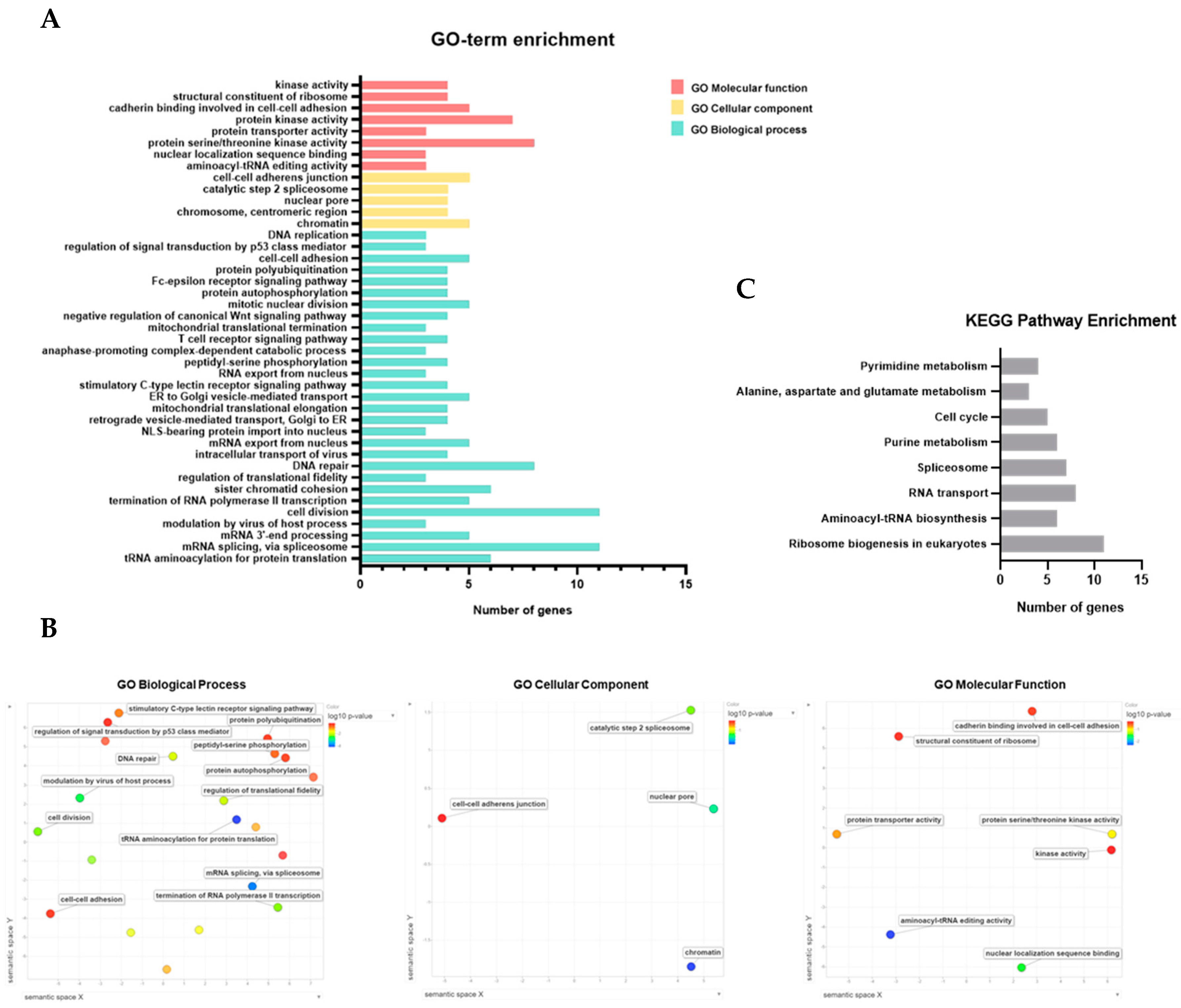 Cancers 12 01141 g006