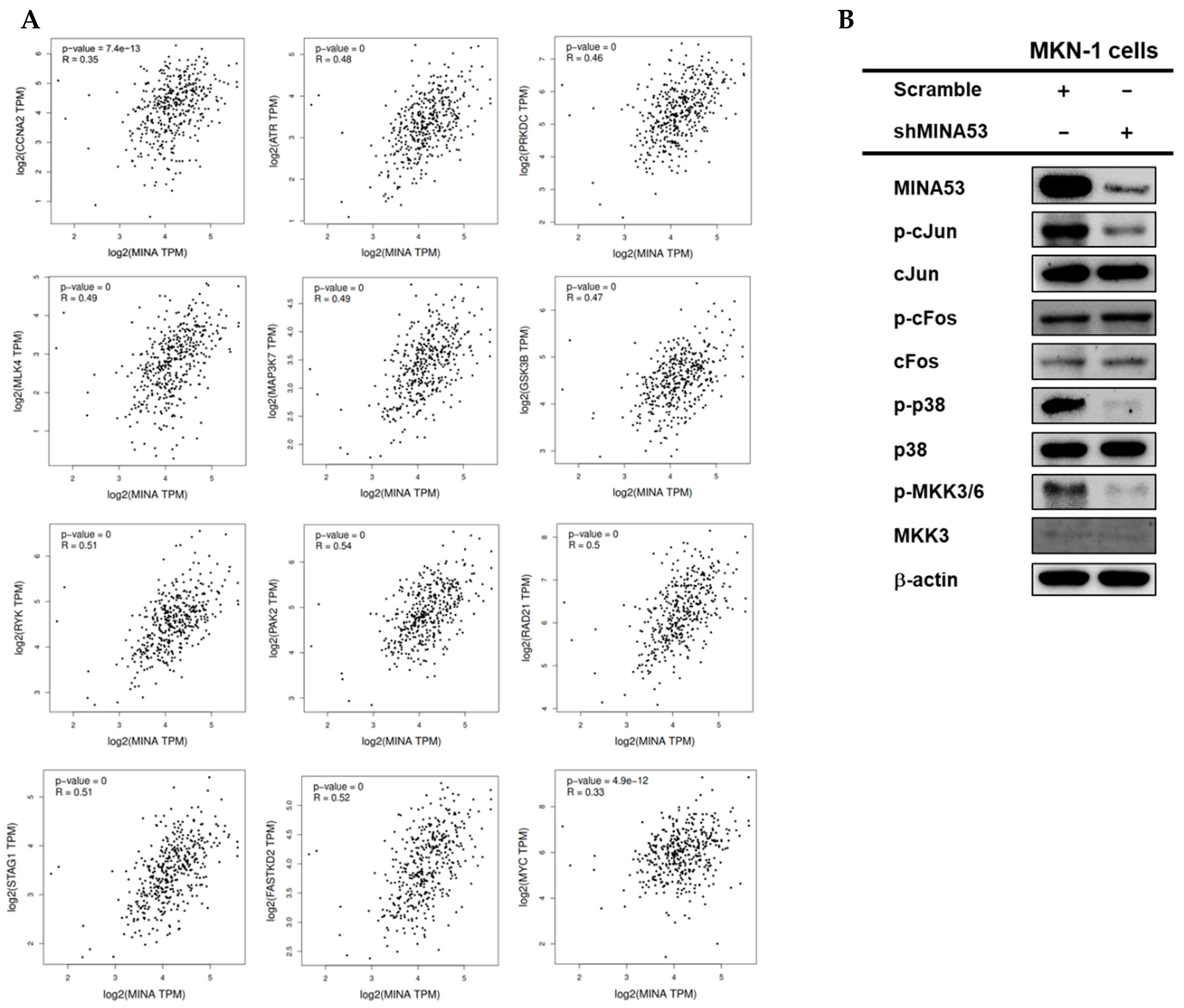 Cancers 12 01141 g007