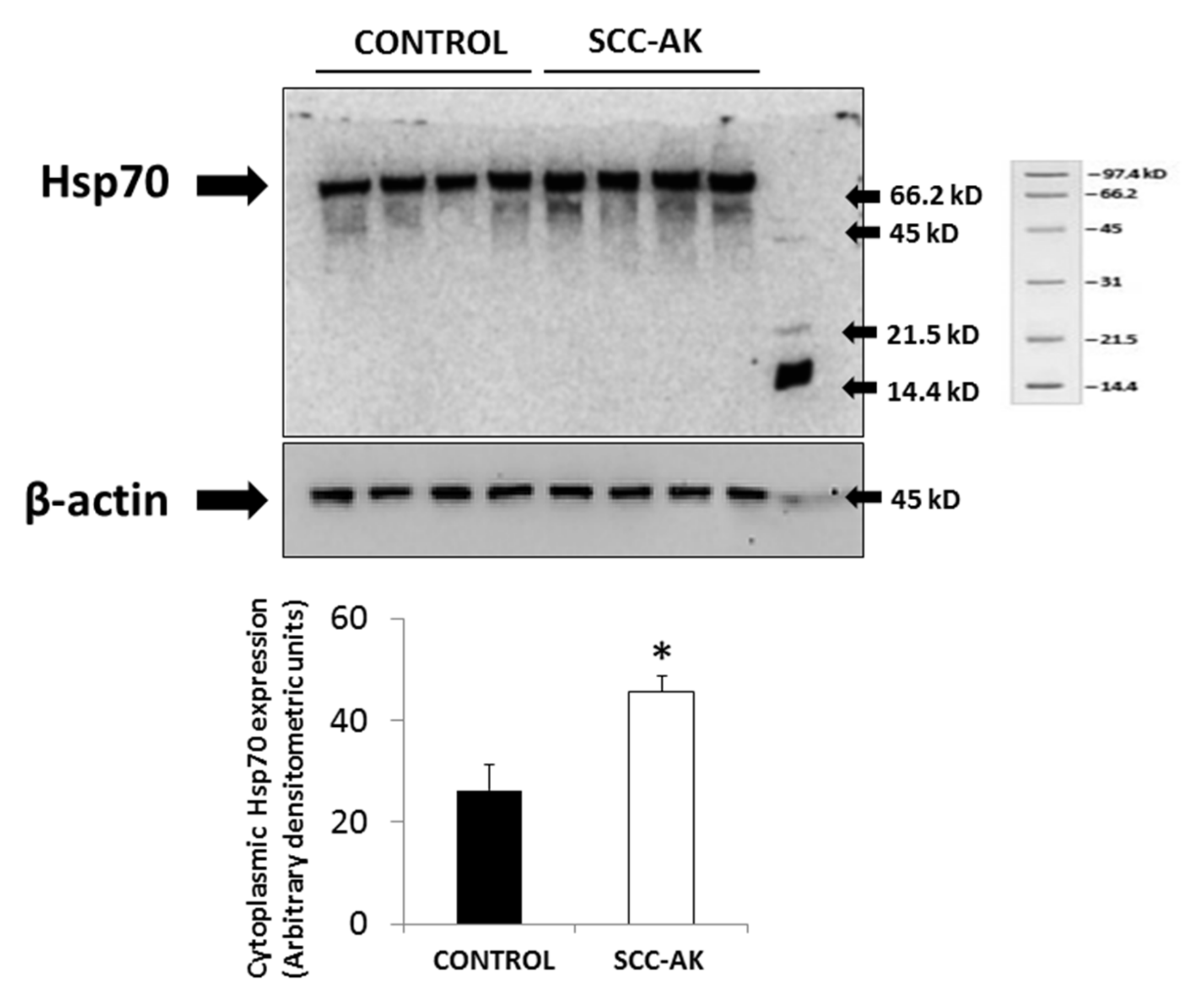 Cancers 12 01151 g002