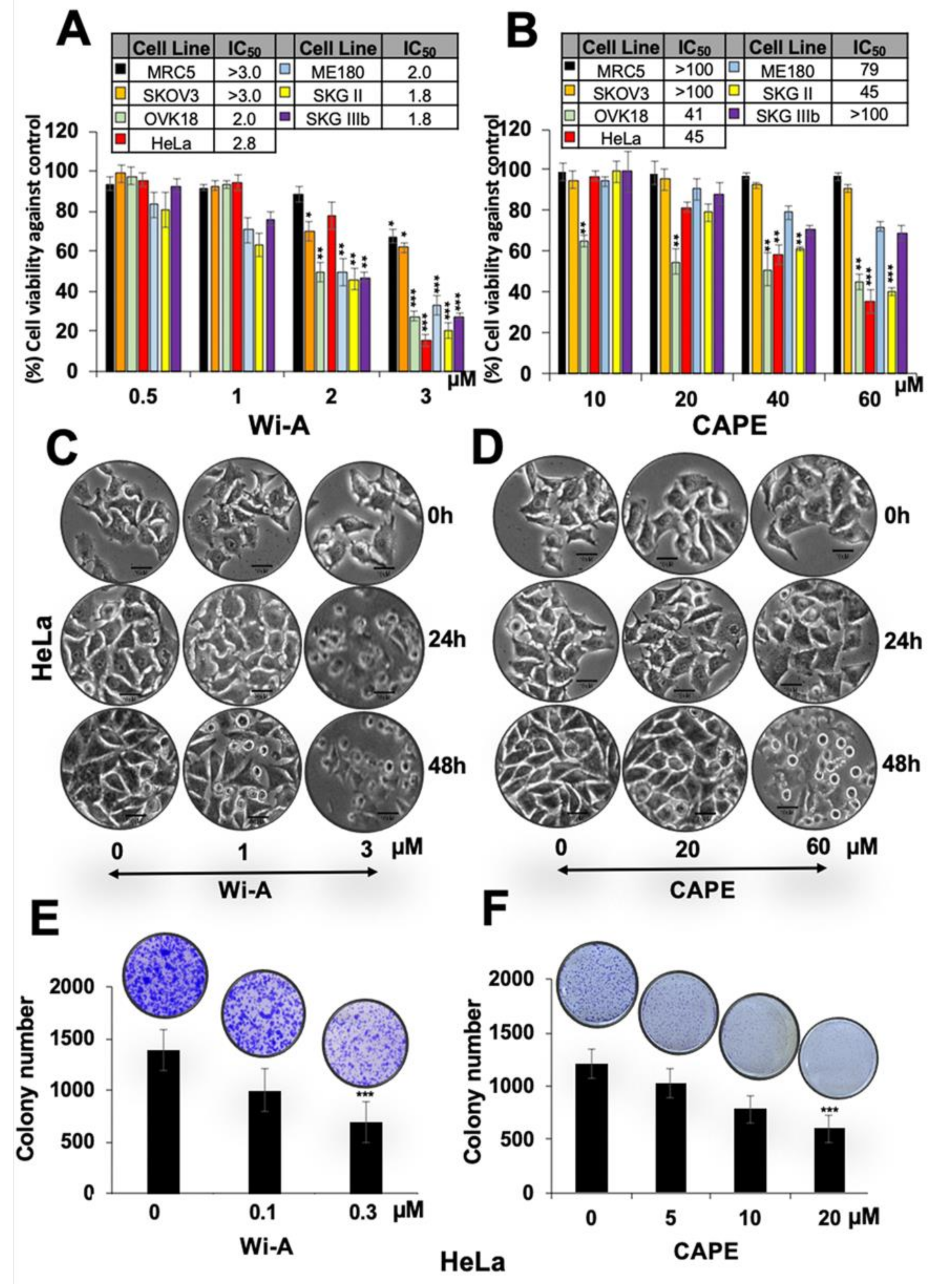 Cancers 12 01160 g001 Cancers 12 01160 g001