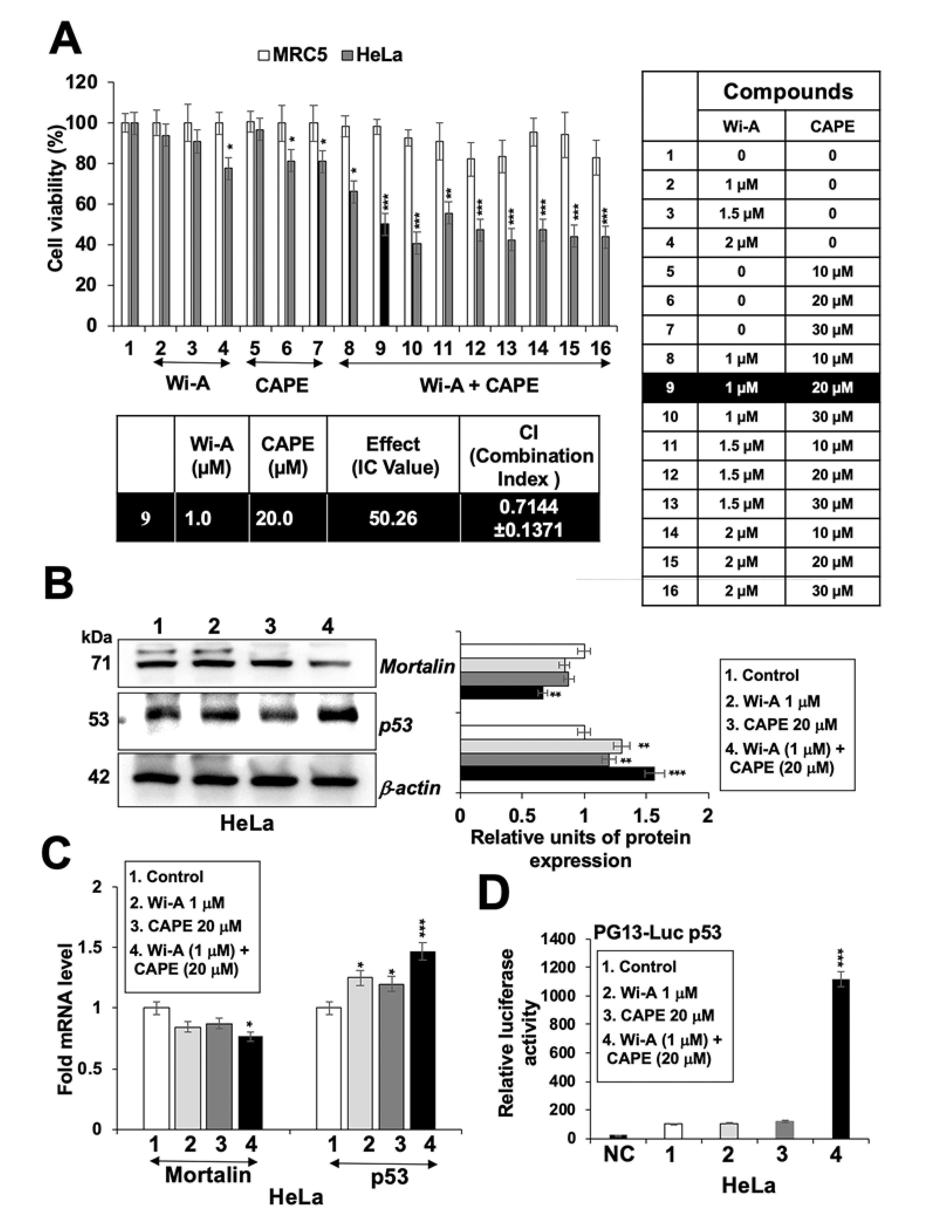 Cancers 12 01160 g004 Cancers 12 01160 g004