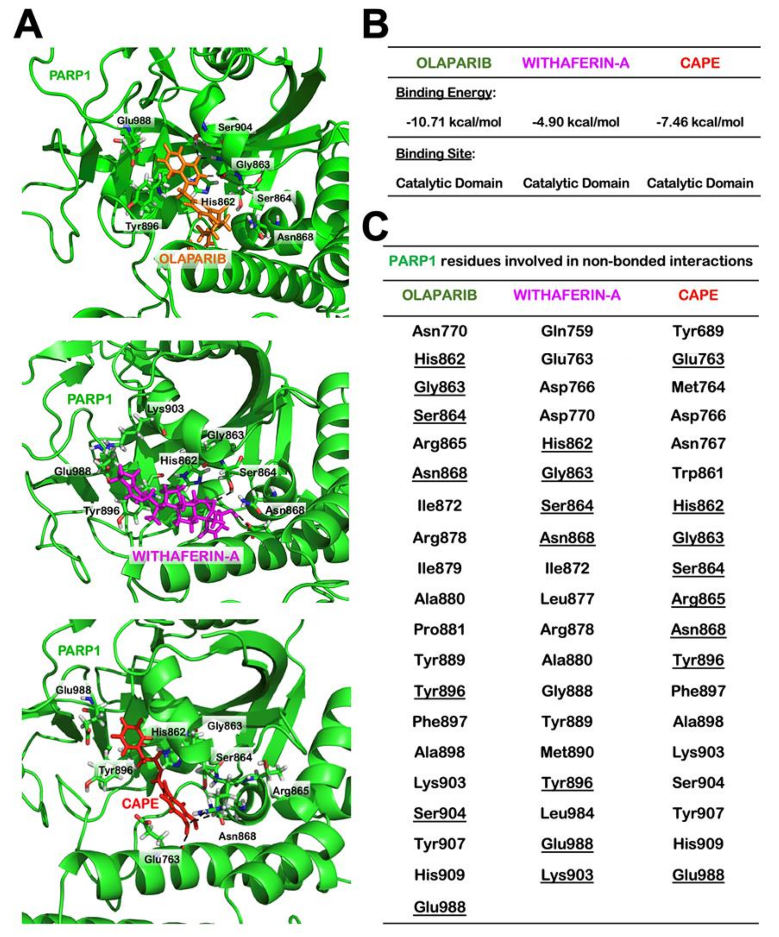Cancers 12 01160 g007 Cancers 12 01160 g007