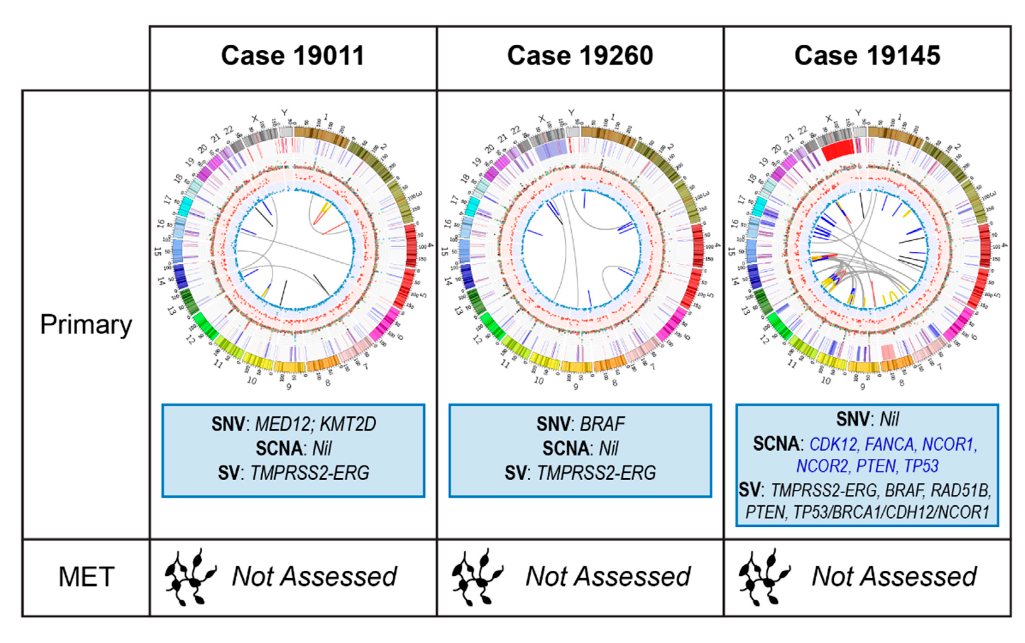 Cancers 12 01178 g003